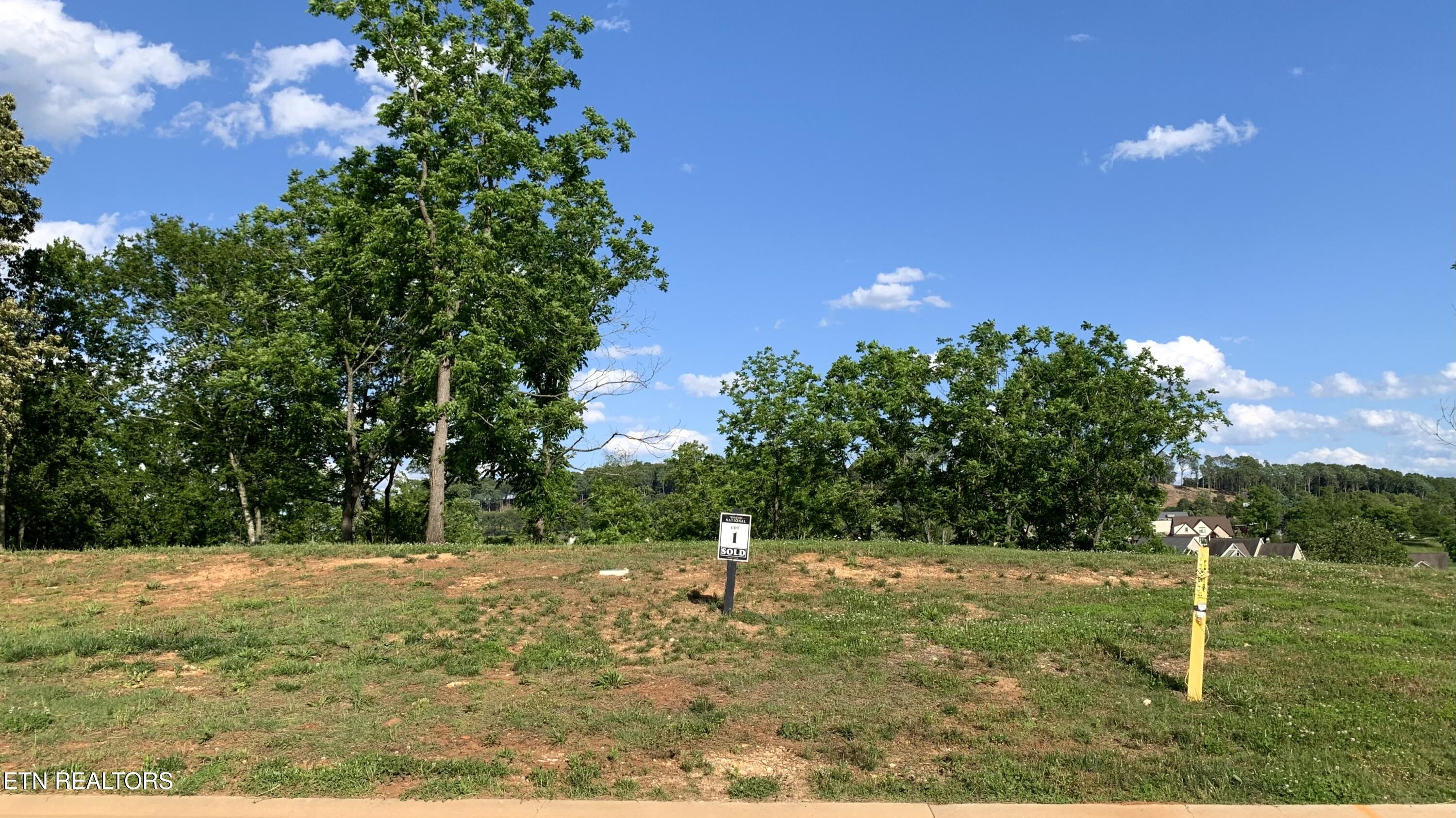 Fort Loudoun and Tellico Lake Real Estate - Image# 9