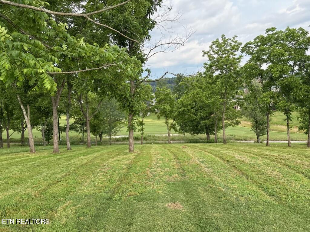 Fort Loudoun and Tellico Lake Real Estate - Image# 3