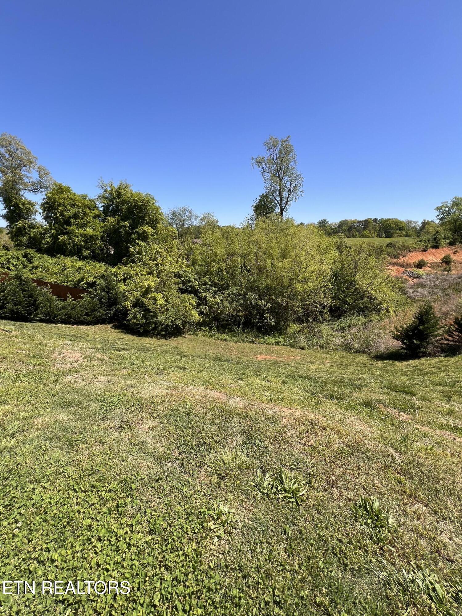 Fort Loudoun and Tellico Lake Real Estate - Image# 31