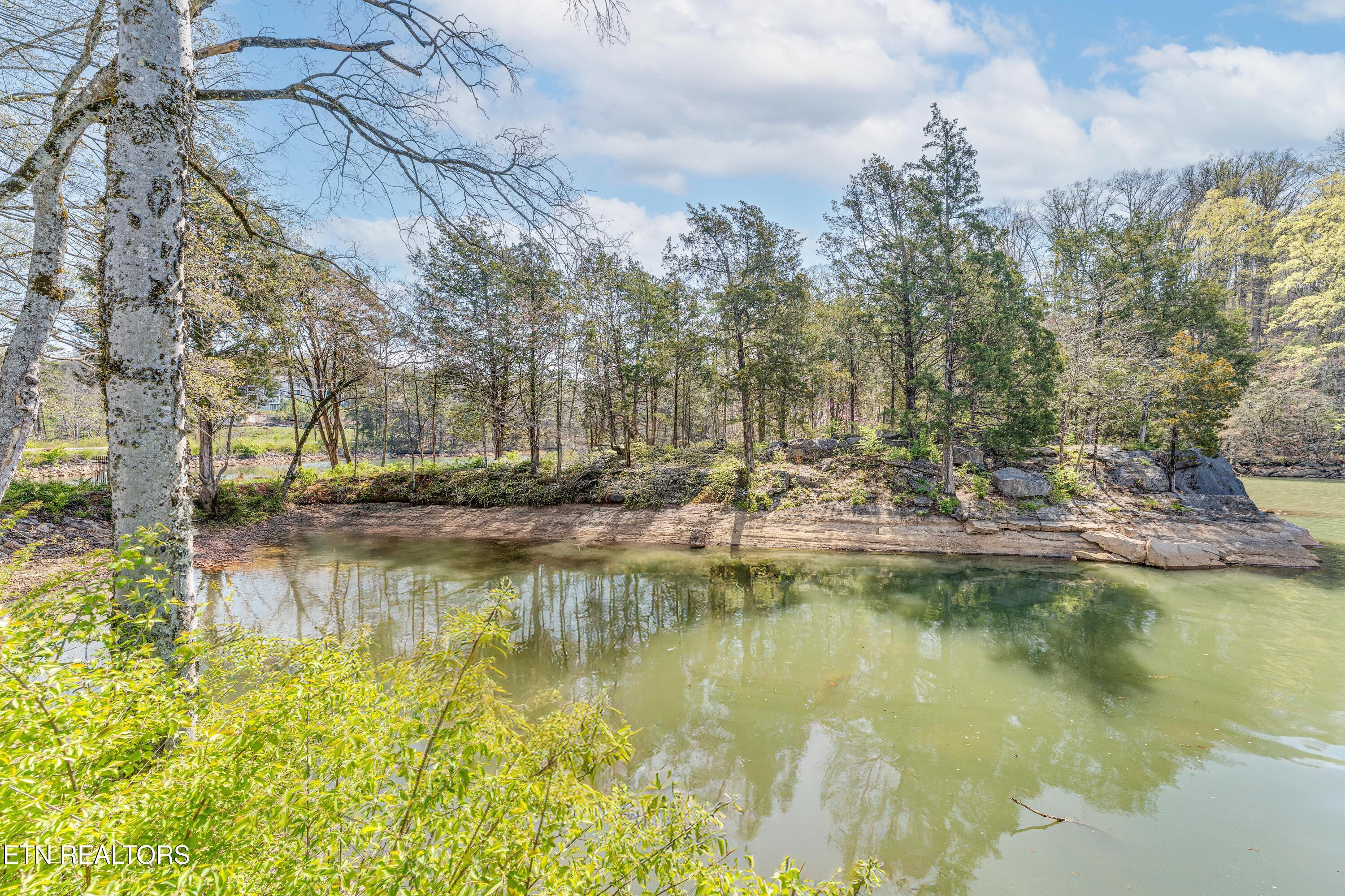 Fort Loudoun and Tellico Lake Real Estate - Image# 49