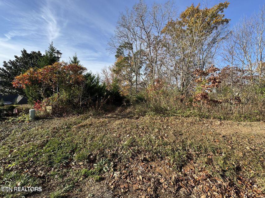 Fort Loudoun and Tellico Lake Real Estate - Image# 10