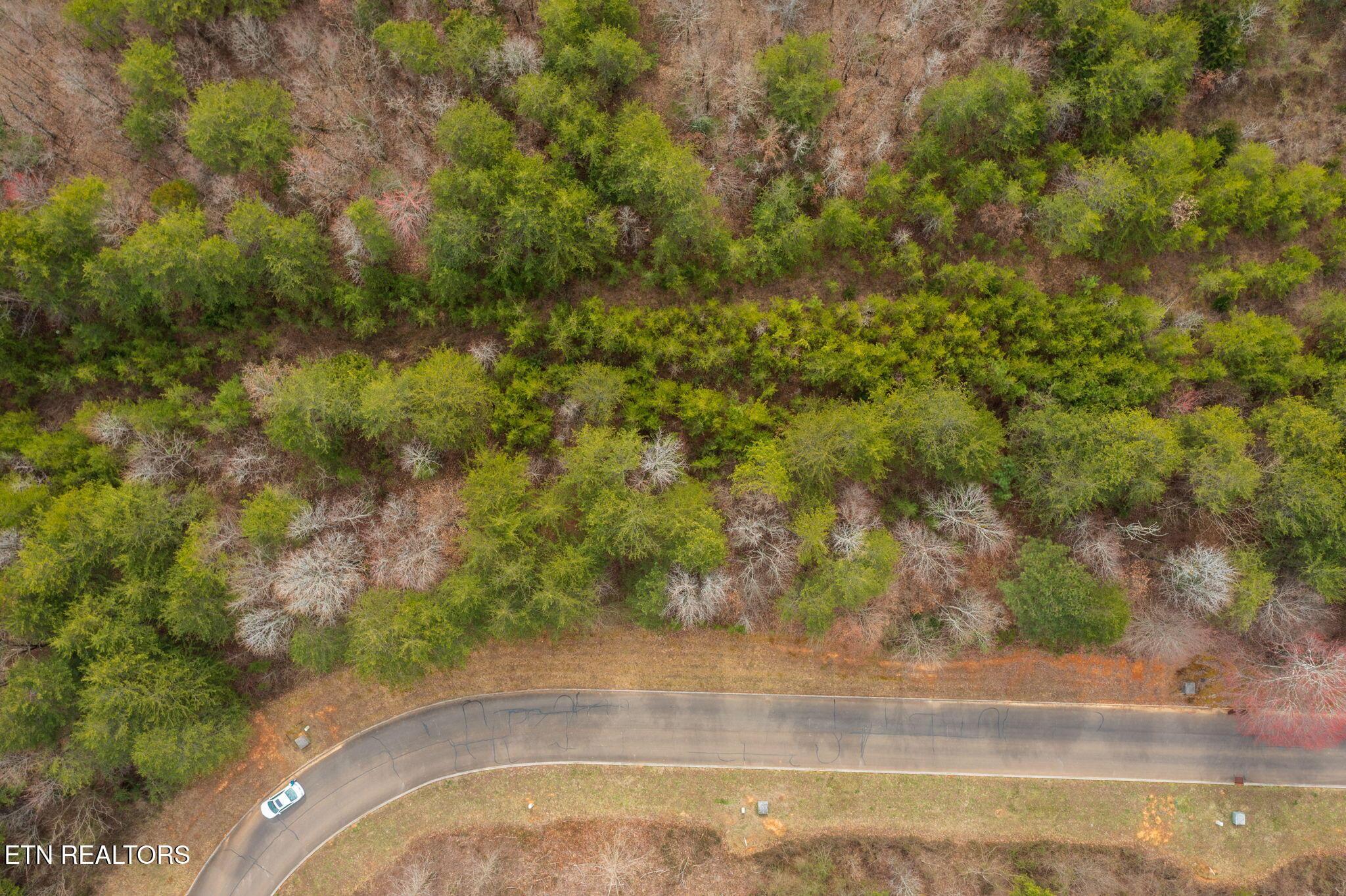 Fort Loudoun and Tellico Lake Real Estate - Image# 7