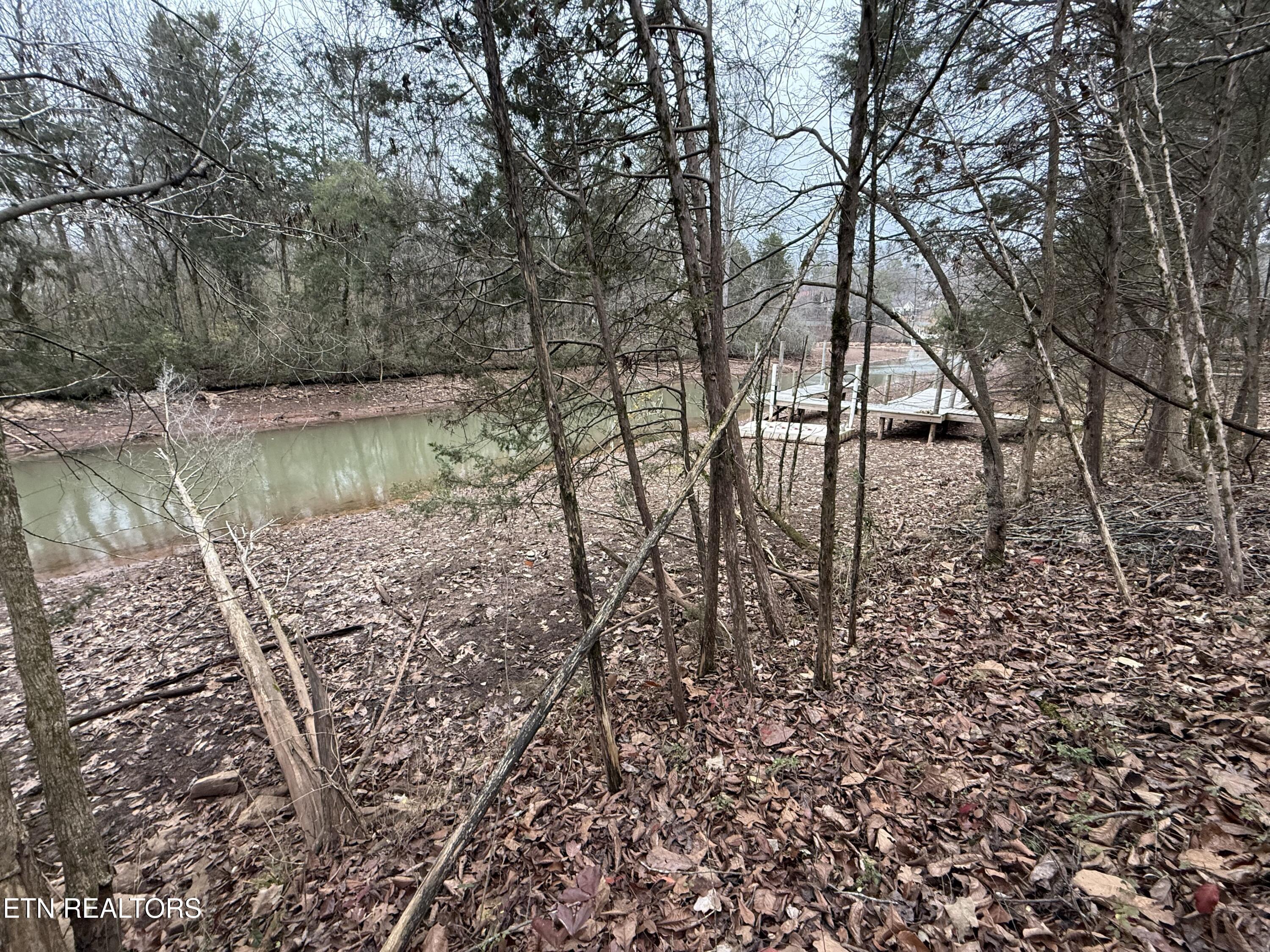 Fort Loudoun and Tellico Lake Real Estate - Image# 11
