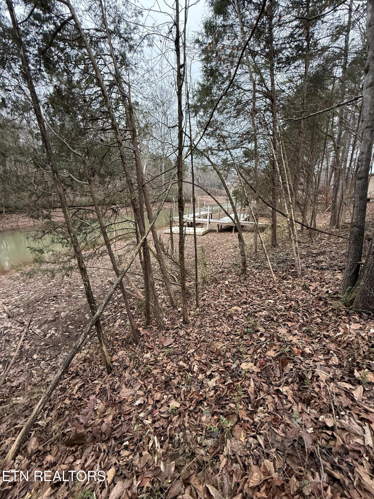 Fort Loudoun and Tellico Lake Real Estate - Image# 9