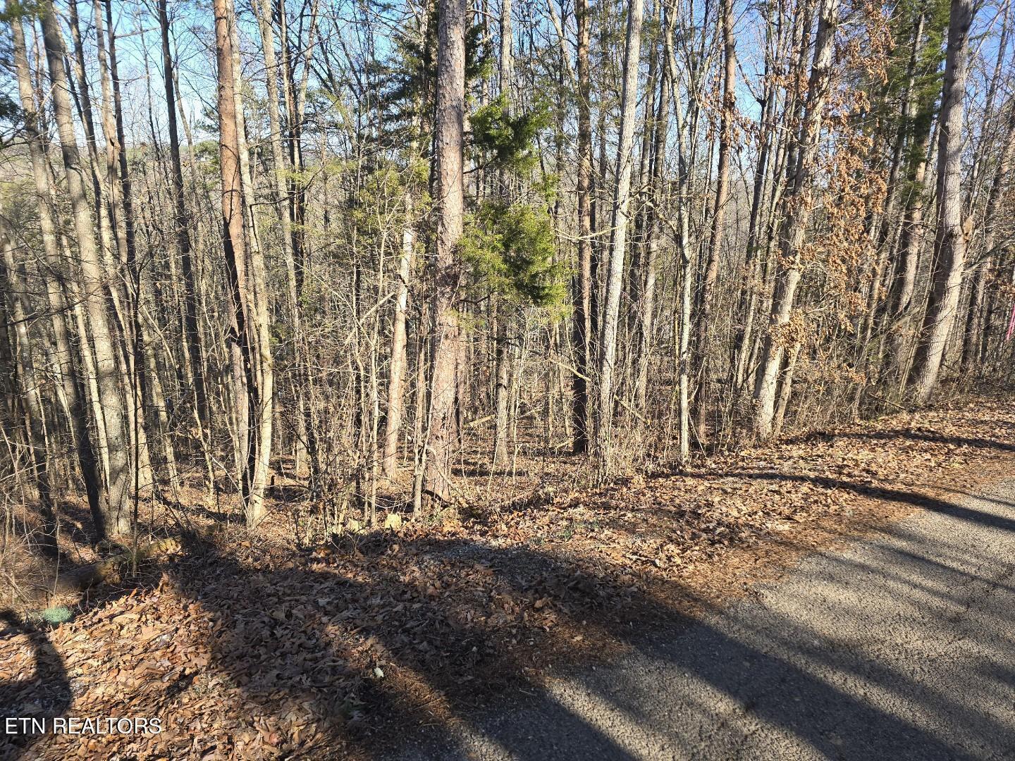 Fort Loudoun and Tellico Lake Real Estate - Image# 21