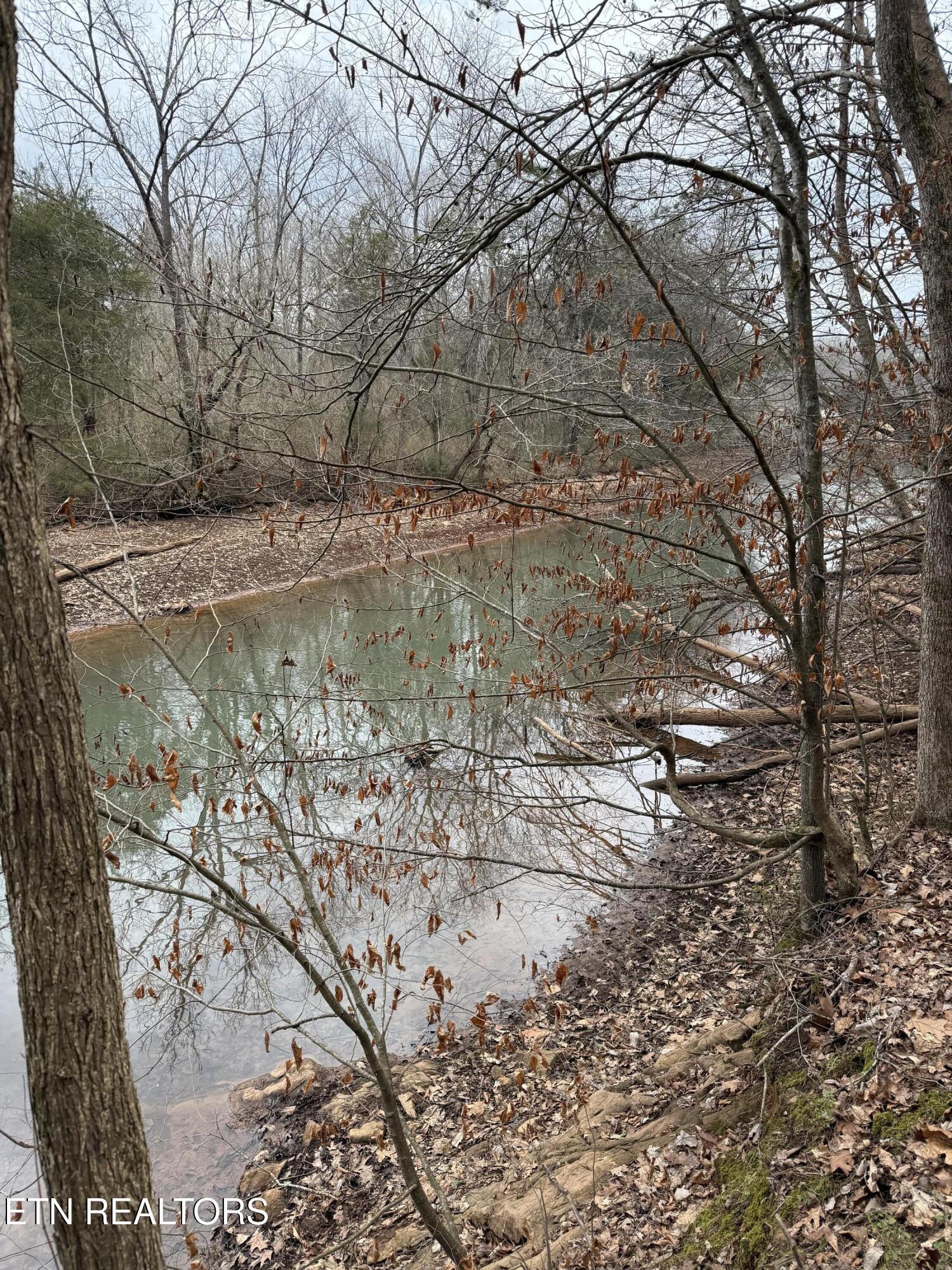 Fort Loudoun and Tellico Lake Real Estate - Image# 20