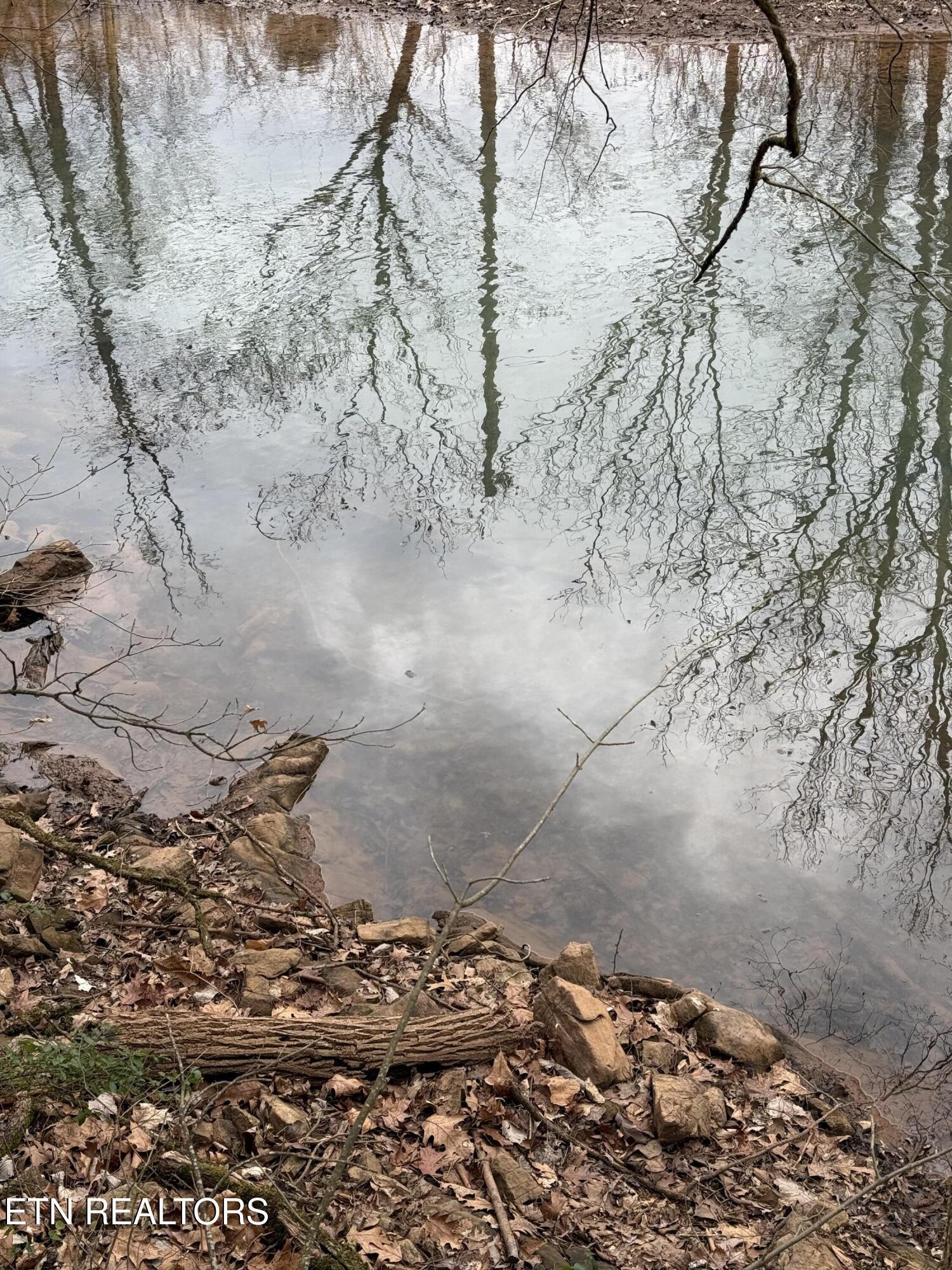 Fort Loudoun and Tellico Lake Real Estate - Image# 18