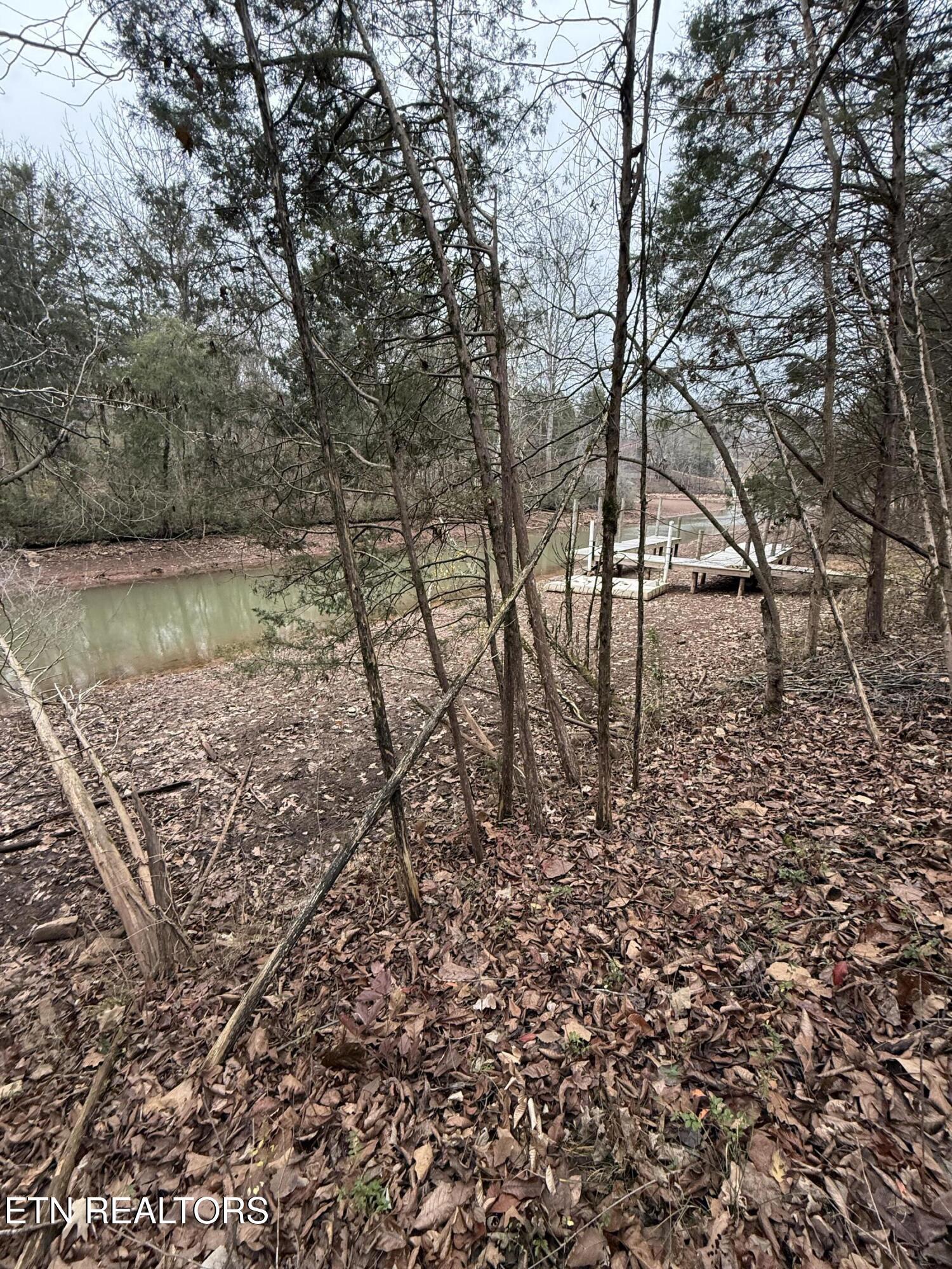 Fort Loudoun and Tellico Lake Real Estate - Image# 10