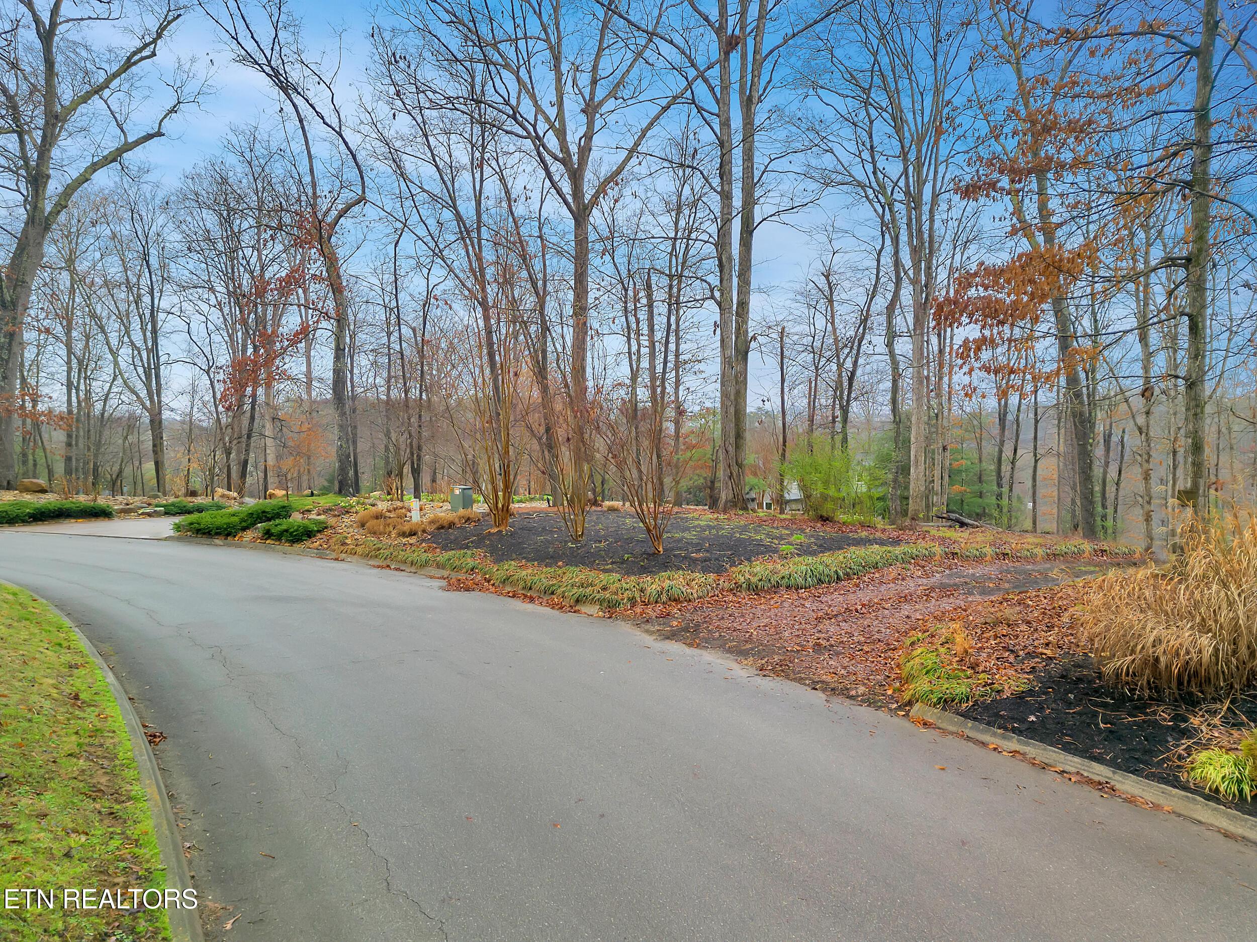927 Windridge Rd, Friendsville, TN - Fort Loudoun and Tellico Lake Real Estate - Image# 9