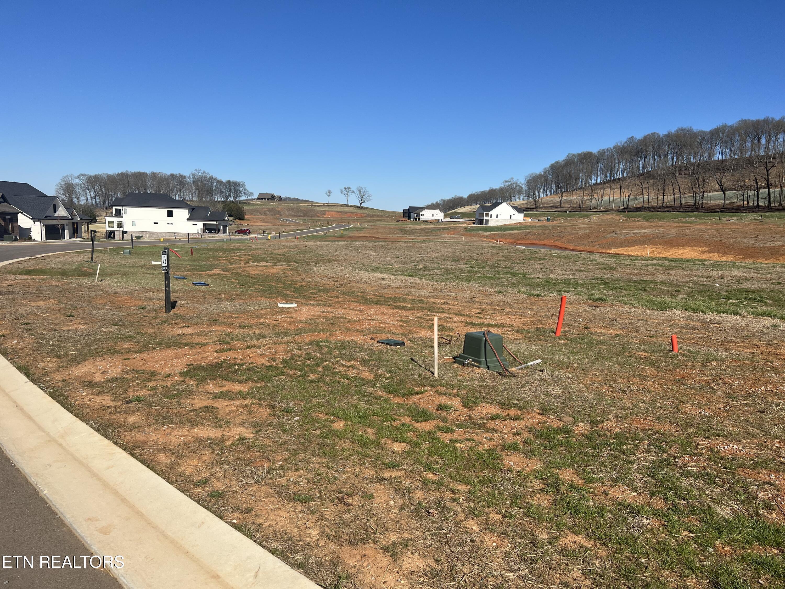 494 Black Bear Circle, Loudon, TN - Fort Loudoun and Tellico Lake Real Estate - Image# 3