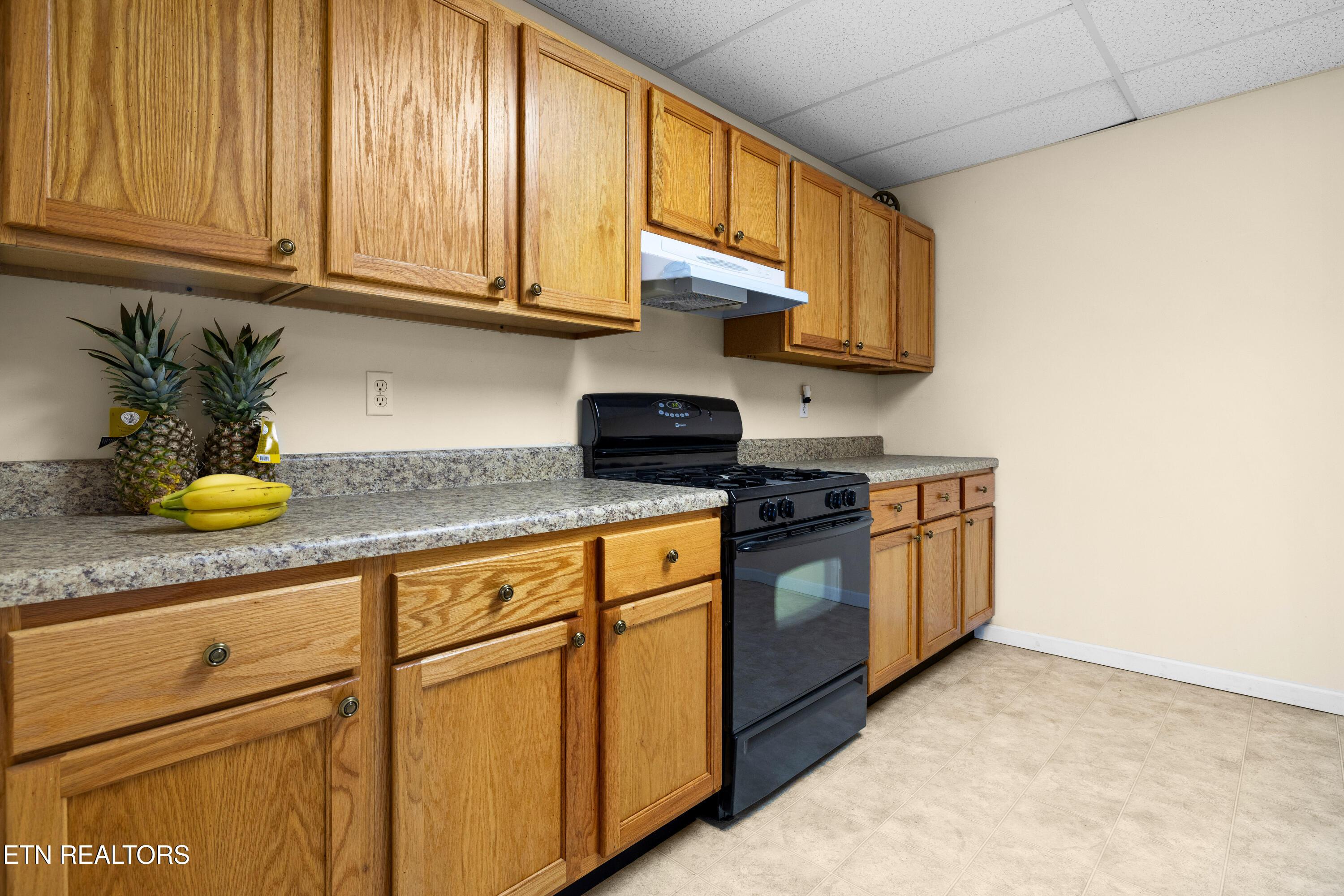 Fort Loudoun and Tellico Lake Real Estate - Image# 39