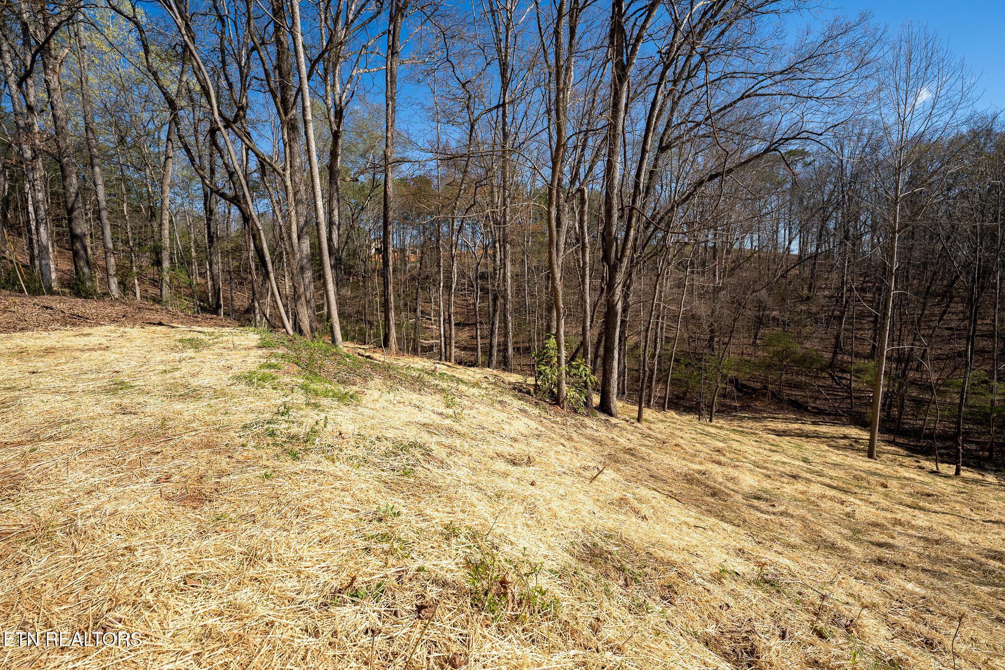 800 Lake Forest Drive, Lenoir City, TN - Fort Loudoun and Tellico Lake Real Estate - Image# 5
