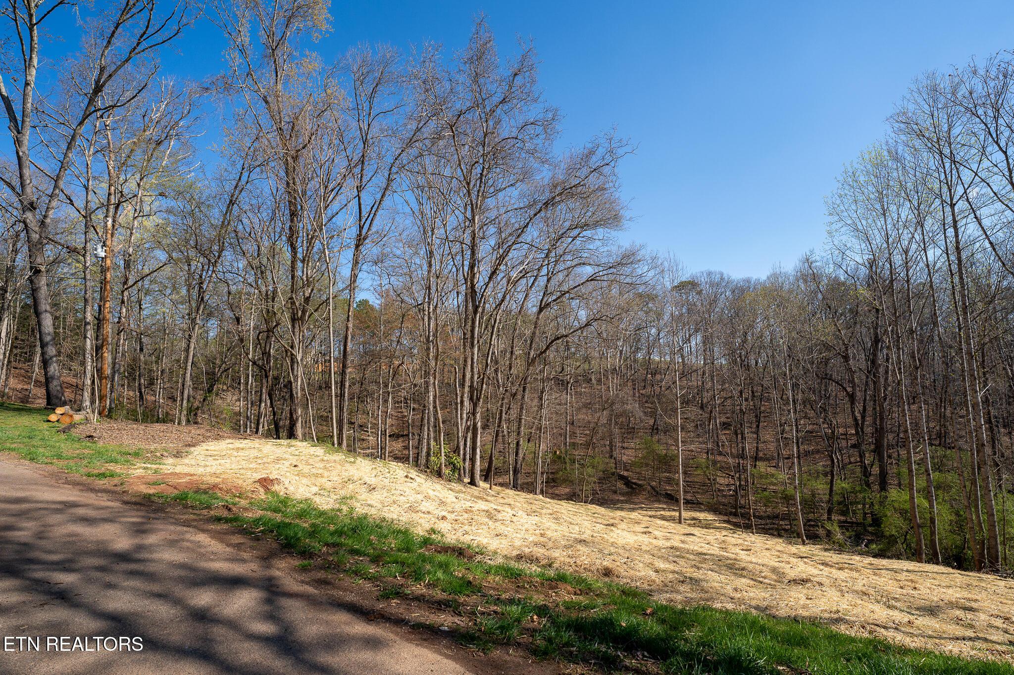 800 Lake Forest Drive, Lenoir City, TN - Fort Loudoun and Tellico Lake Real Estate - Image# 14