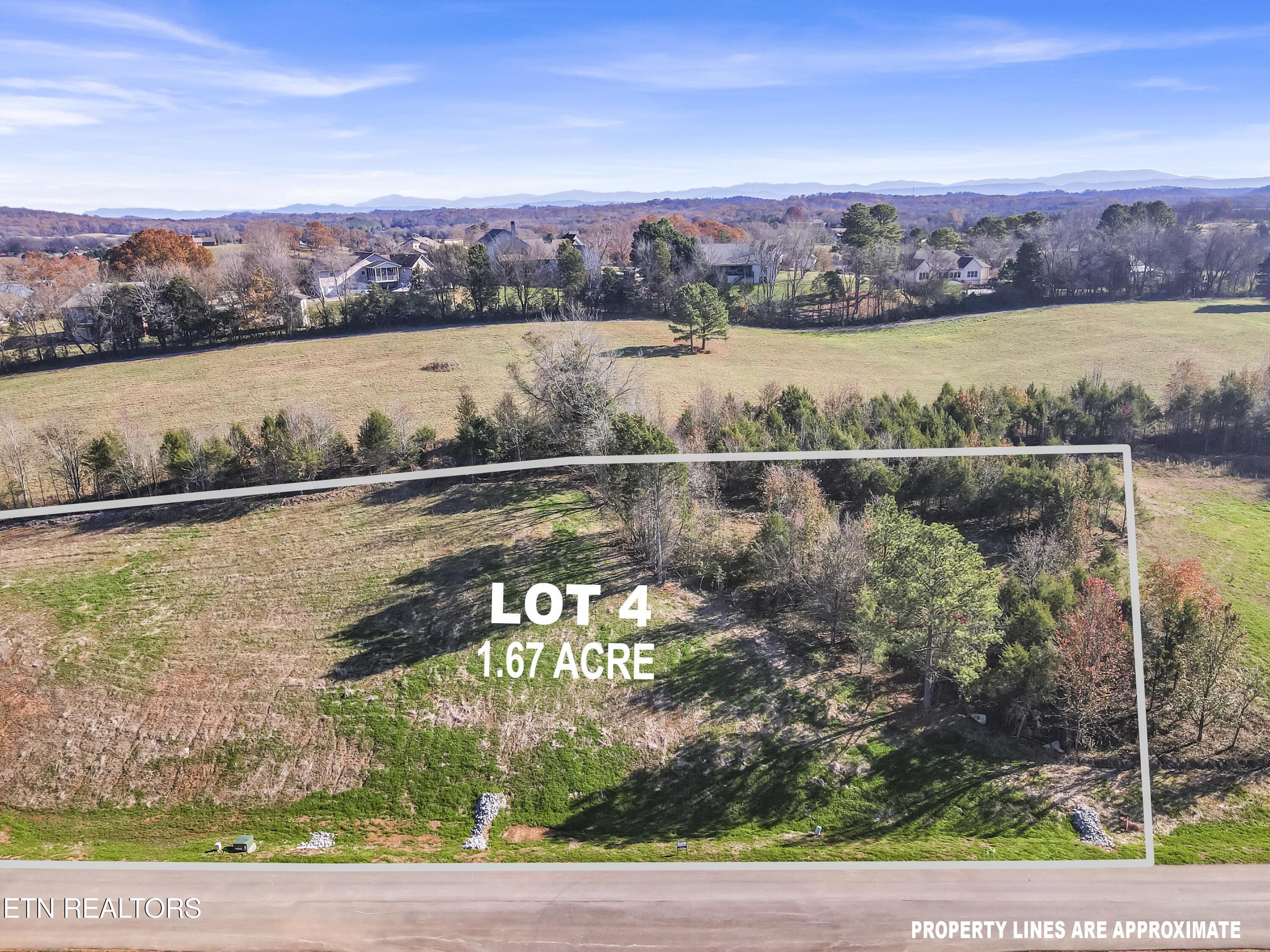 Fort Loudoun and Tellico Lake Real Estate - Image# 2