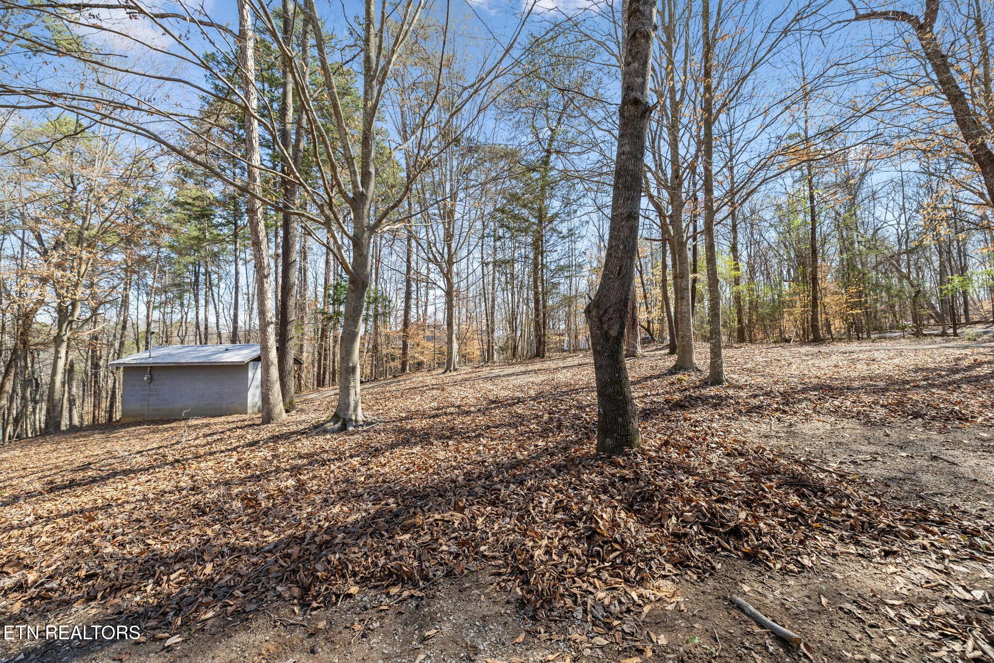 Fort Loudoun and Tellico Lake Real Estate - Image# 11