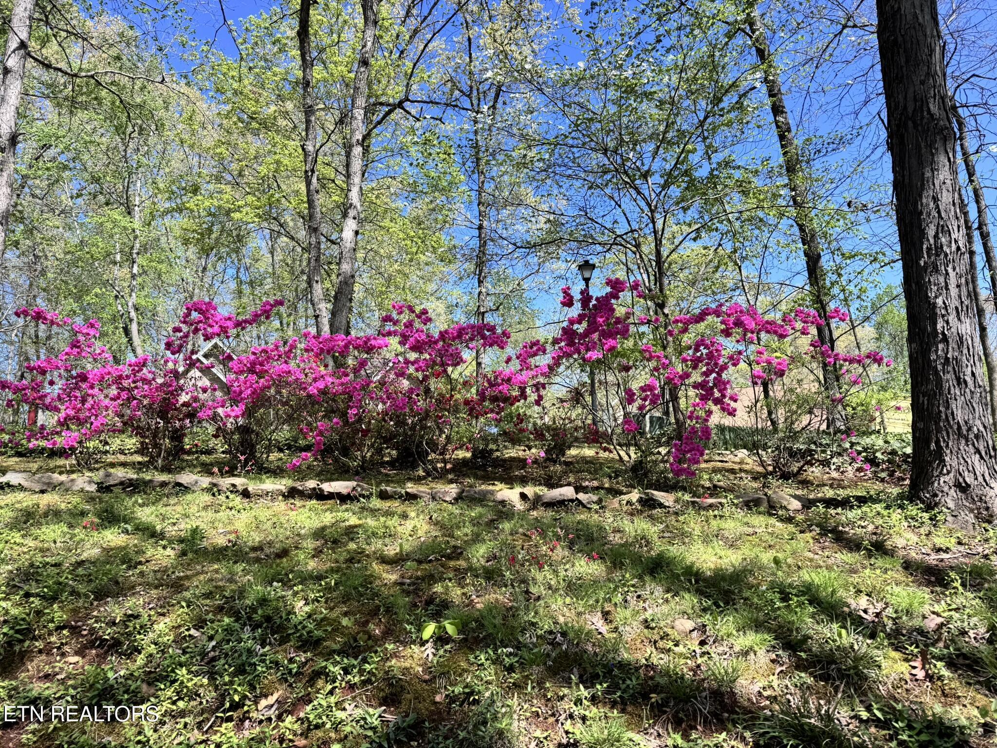 108 Tigitsi Lane, Loudon, TN - Fort Loudoun and Tellico Lake Real Estate - Image# 37