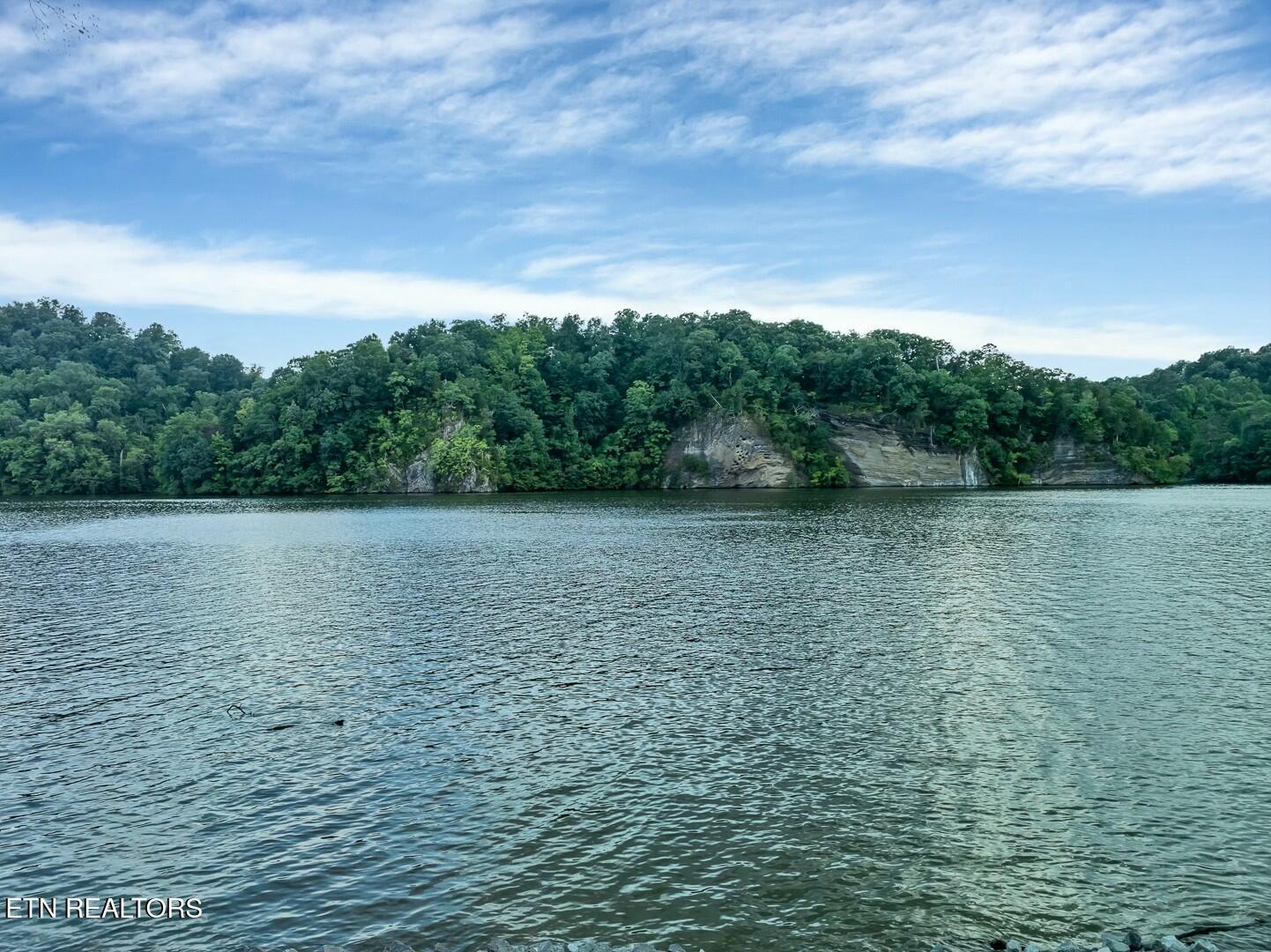 4225 W Lakeview Circle, Louisville, TN - Fort Loudoun and Tellico Lake Real Estate - Image# 52