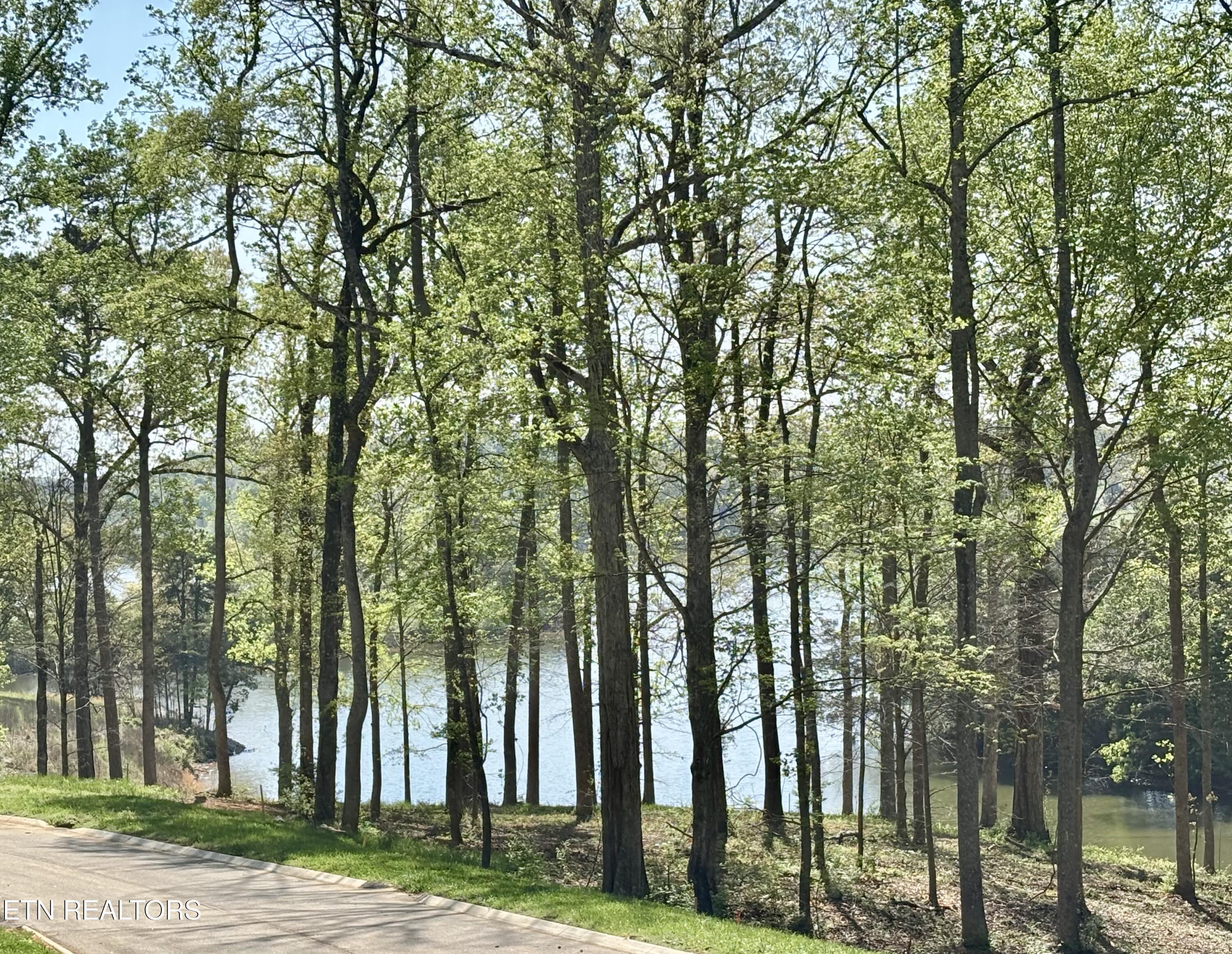 Lysandra Way, Knoxville, TN - Fort Loudoun and Tellico Lake Real Estate - Image# 2