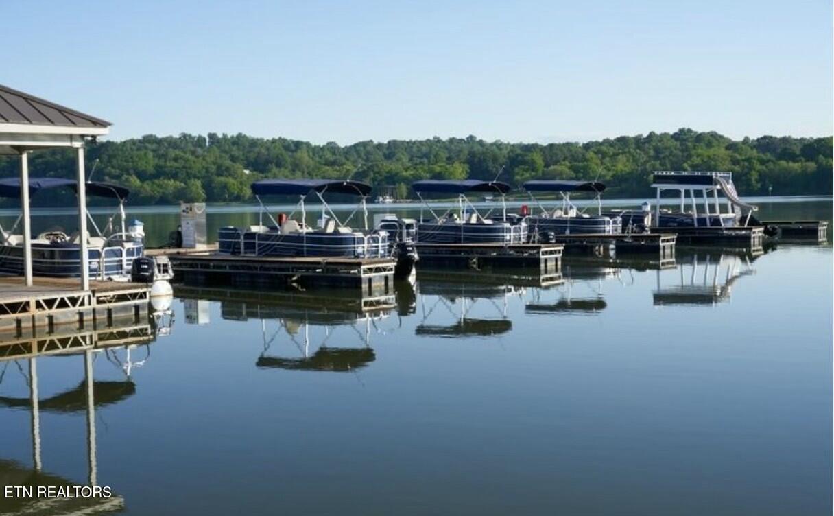 855 Bobcat Run Drive, Loudon, TN - Fort Loudoun and Tellico Lake Real Estate - Image# 50