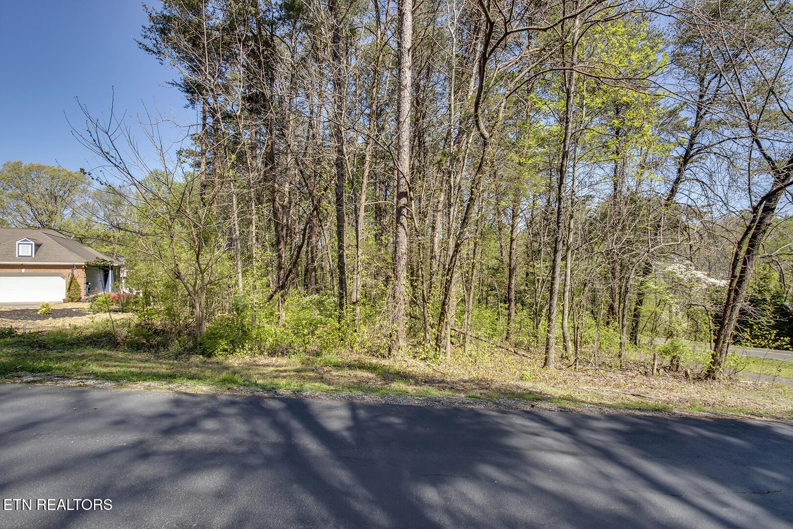 132 Geya Circle, Loudon, TN - Fort Loudoun and Tellico Lake Real Estate - Image# 13