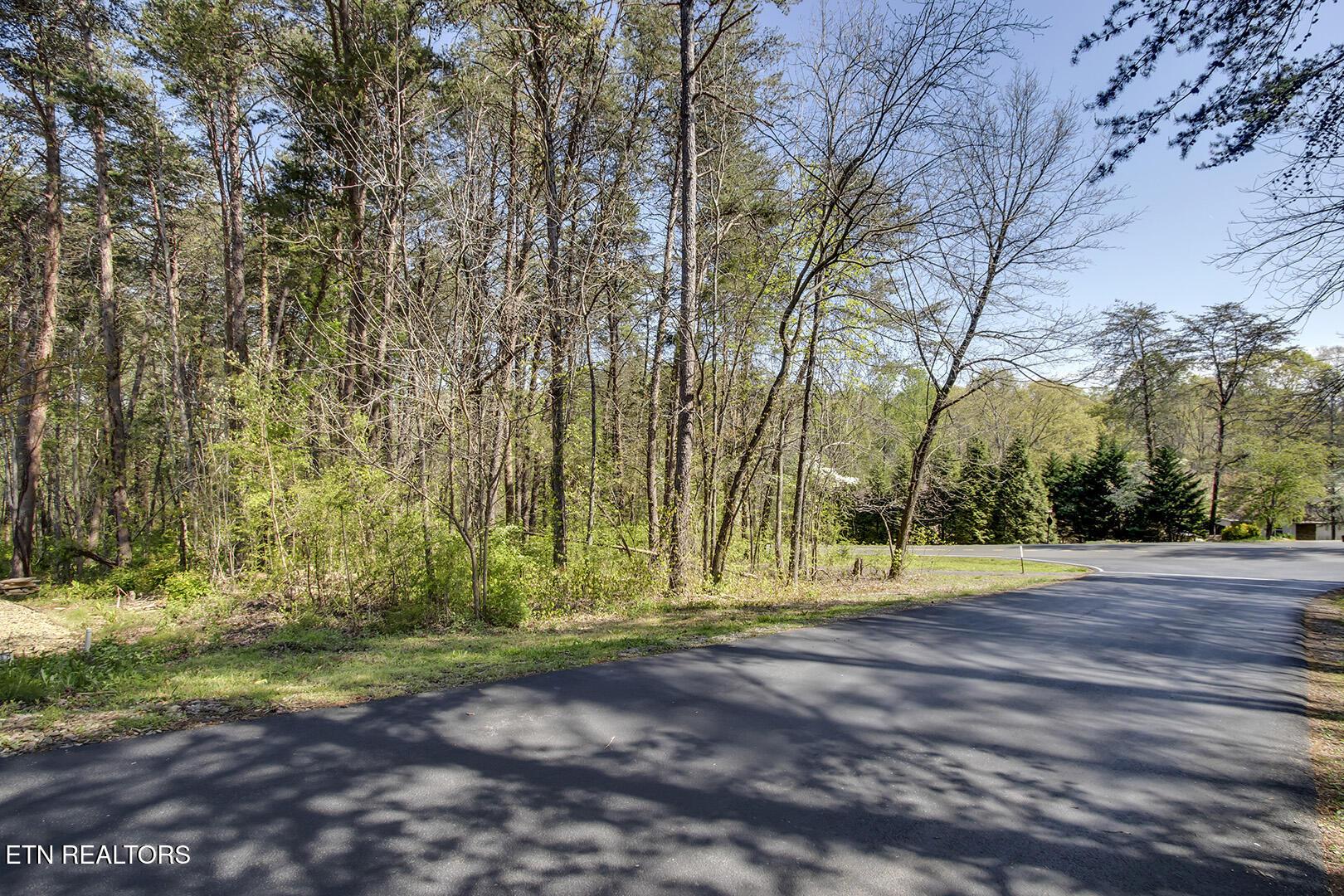 132 Geya Circle, Loudon, TN - Fort Loudoun and Tellico Lake Real Estate - Image# 16