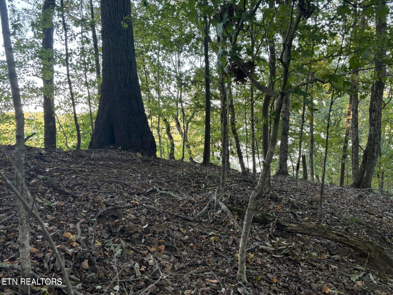 2050 Jones Bend Rd, Louisville, TN - Fort Loudoun and Tellico Lake Real Estate - Image# 20