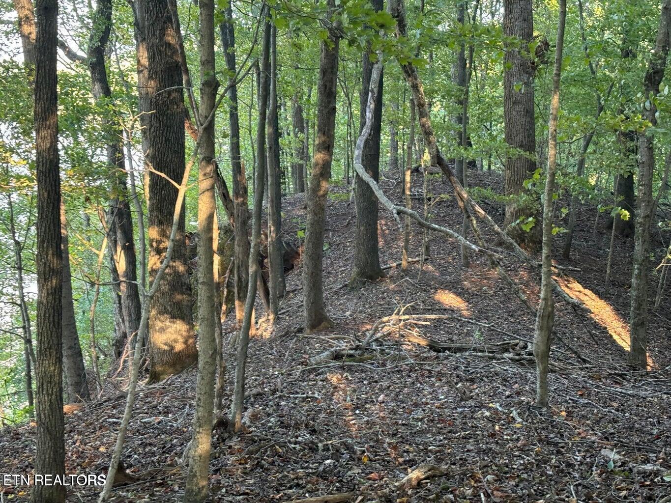 2050 Jones Bend Rd, Louisville, TN - Fort Loudoun and Tellico Lake Real Estate - Image# 21
