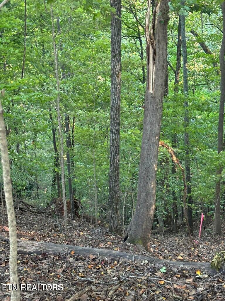 2050 Jones Bend Rd, Louisville, TN - Fort Loudoun and Tellico Lake Real Estate - Image# 22