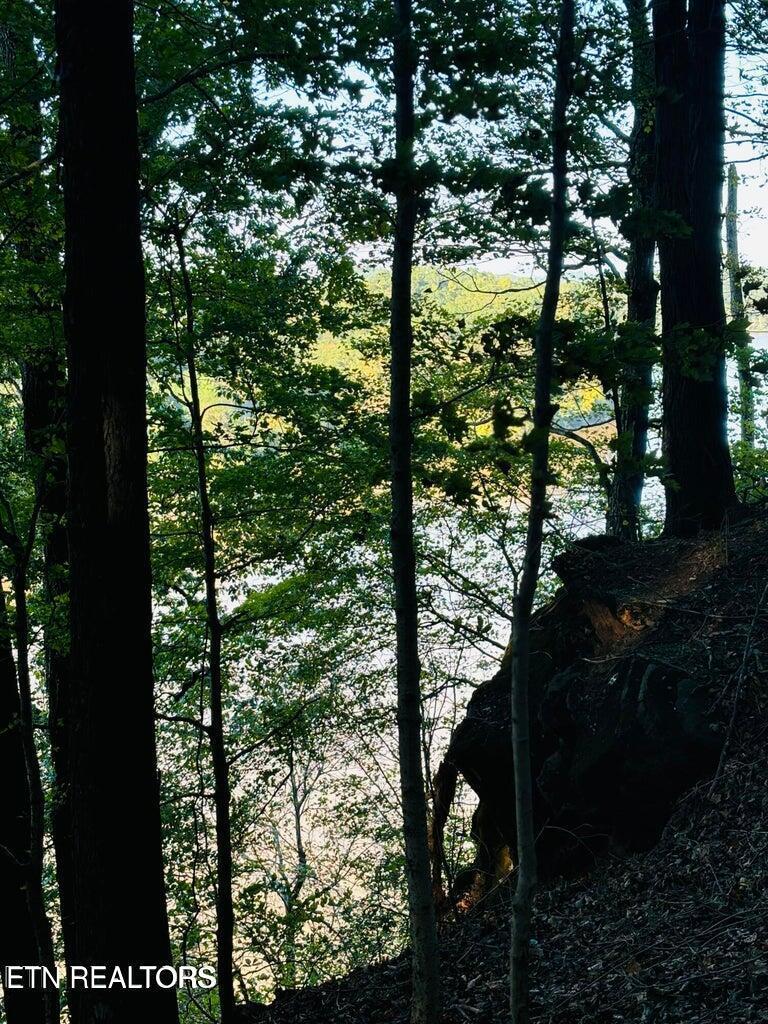 2050 Jones Bend Rd, Louisville, TN - Fort Loudoun and Tellico Lake Real Estate - Image# 23