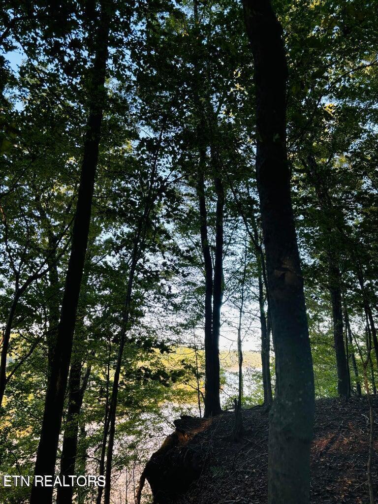 2050 Jones Bend Rd, Louisville, TN - Fort Loudoun and Tellico Lake Real Estate - Image# 25