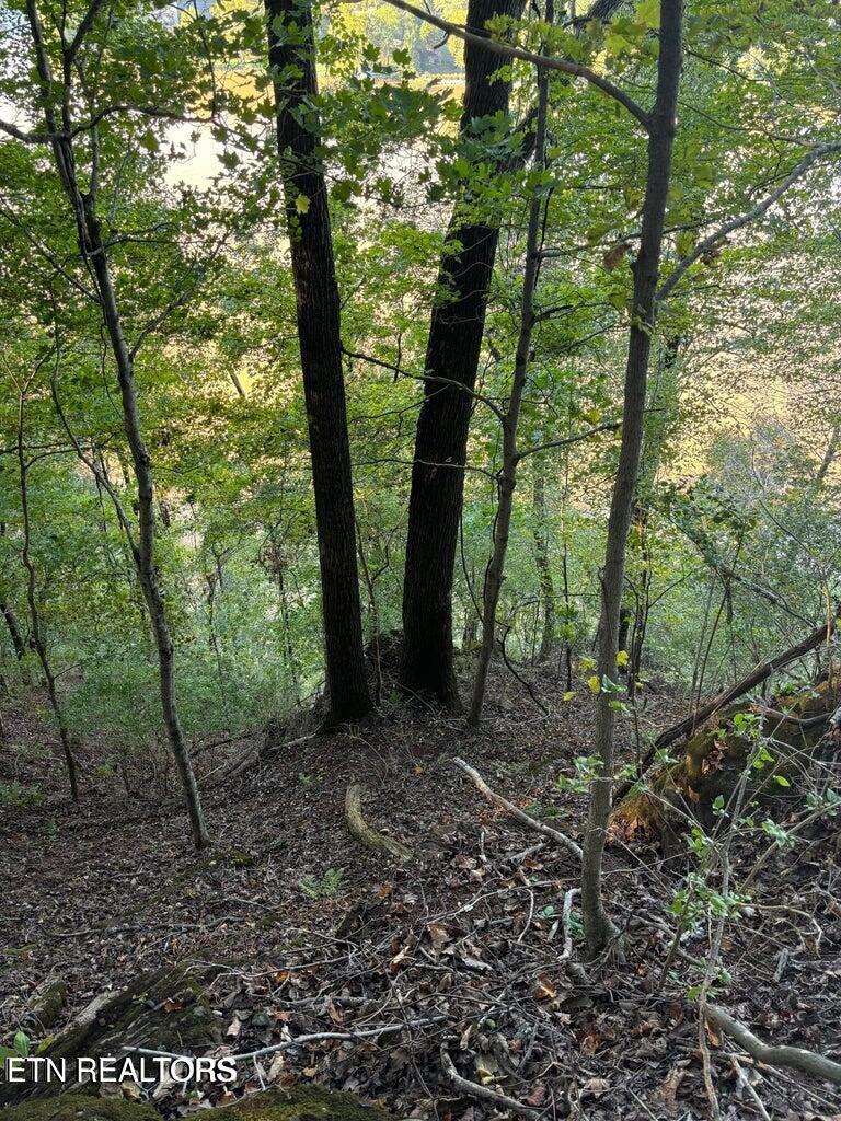 2050 Jones Bend Rd, Louisville, TN - Fort Loudoun and Tellico Lake Real Estate - Image# 26