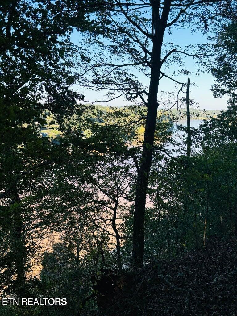 2050 Jones Bend Rd, Louisville, TN - Fort Loudoun and Tellico Lake Real Estate - Image# 27