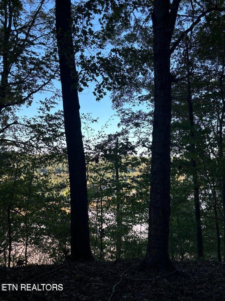 2050 Jones Bend Rd, Louisville, TN - Fort Loudoun and Tellico Lake Real Estate - Image# 28
