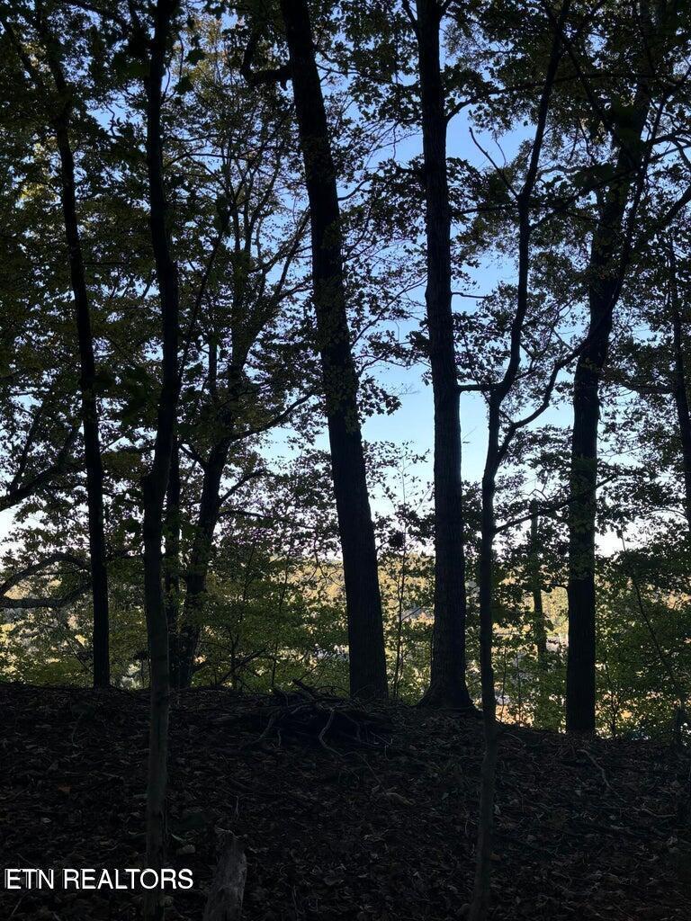2050 Jones Bend Rd, Louisville, TN - Fort Loudoun and Tellico Lake Real Estate - Image# 29