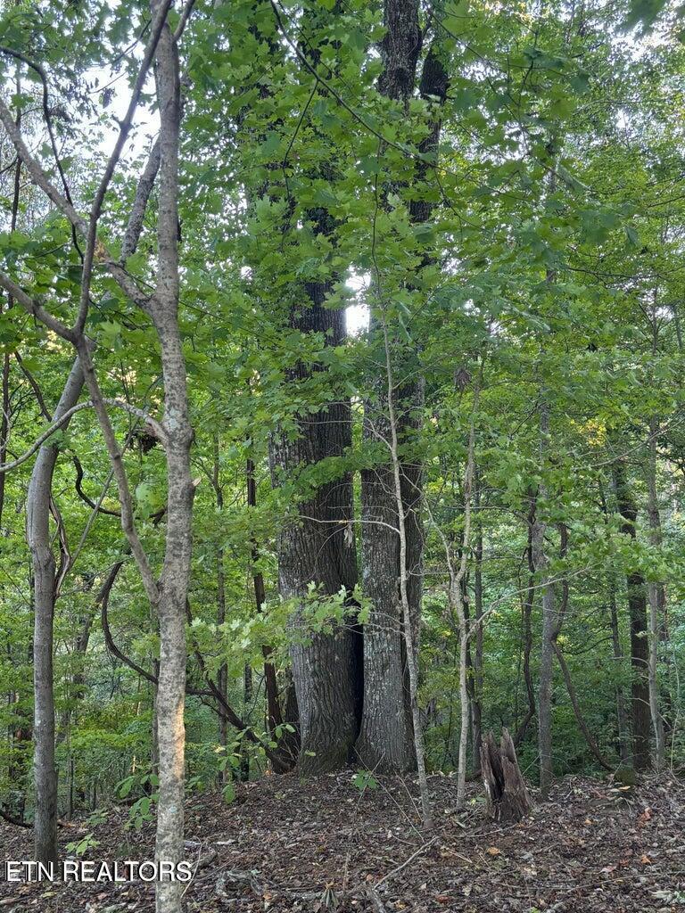 2050 Jones Bend Rd, Louisville, TN - Fort Loudoun and Tellico Lake Real Estate - Image# 30