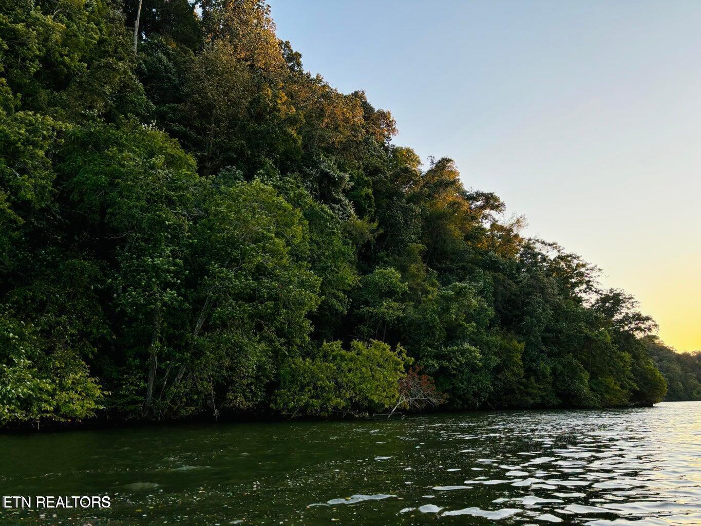 2050 Jones Bend Rd, Louisville, TN - Fort Loudoun and Tellico Lake Real Estate - Image# 31