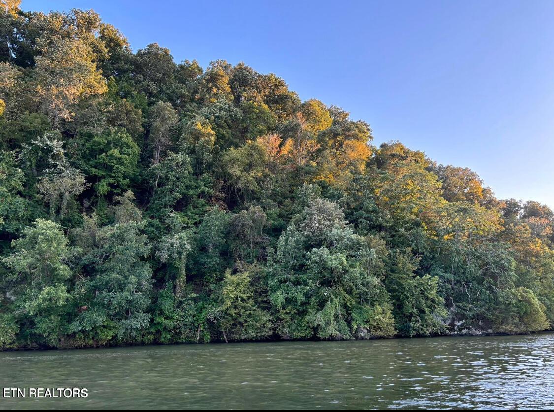 2050 Jones Bend Rd, Louisville, TN - Fort Loudoun and Tellico Lake Real Estate - Image# 32