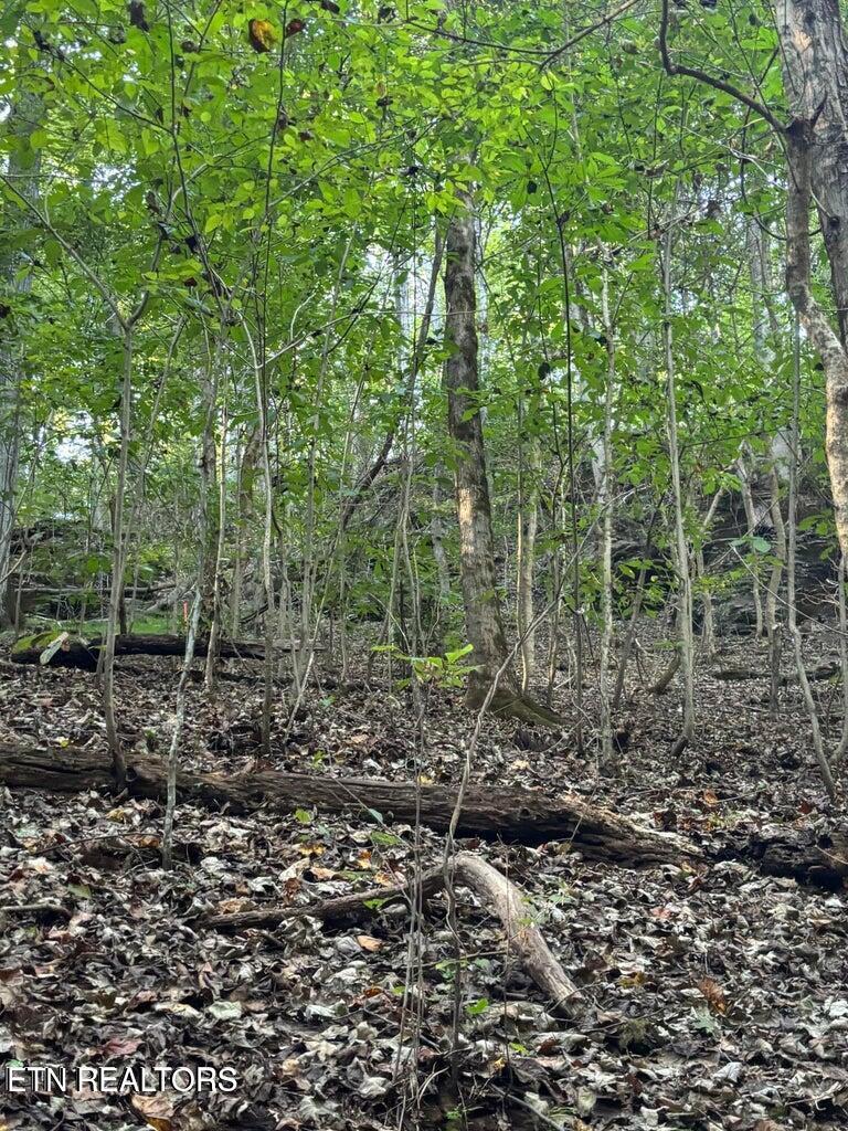 2050 Jones Bend Rd, Louisville, TN - Fort Loudoun and Tellico Lake Real Estate - Image# 34