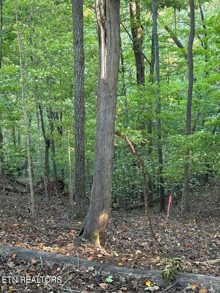 2050 Jones Bend Rd, Louisville, TN - Fort Loudoun and Tellico Lake Real Estate - Image# 35