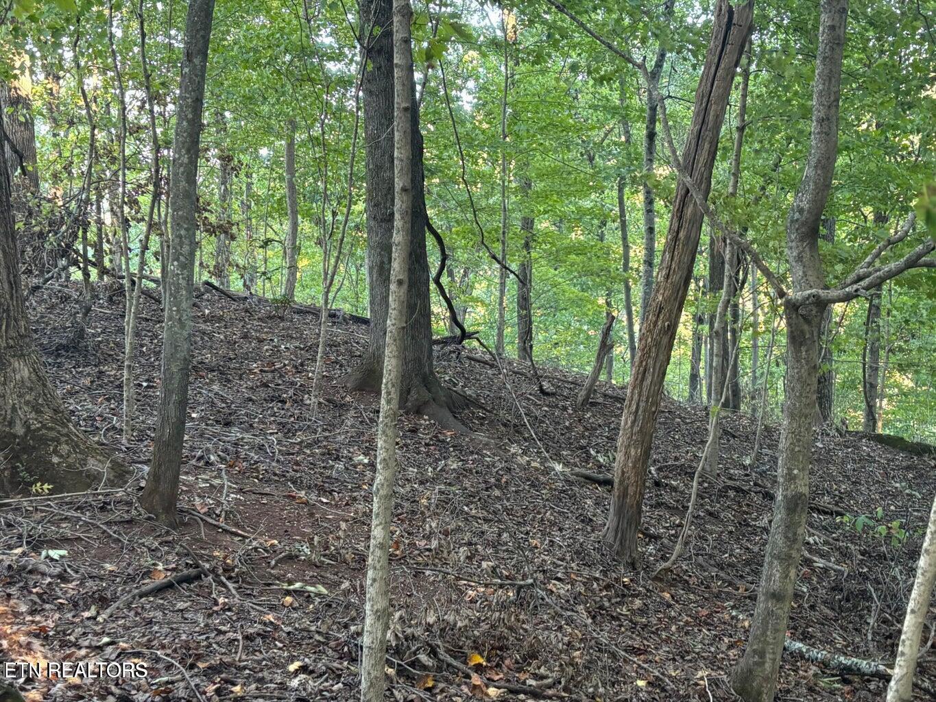 2050 Jones Bend Rd, Louisville, TN - Fort Loudoun and Tellico Lake Real Estate - Image# 36