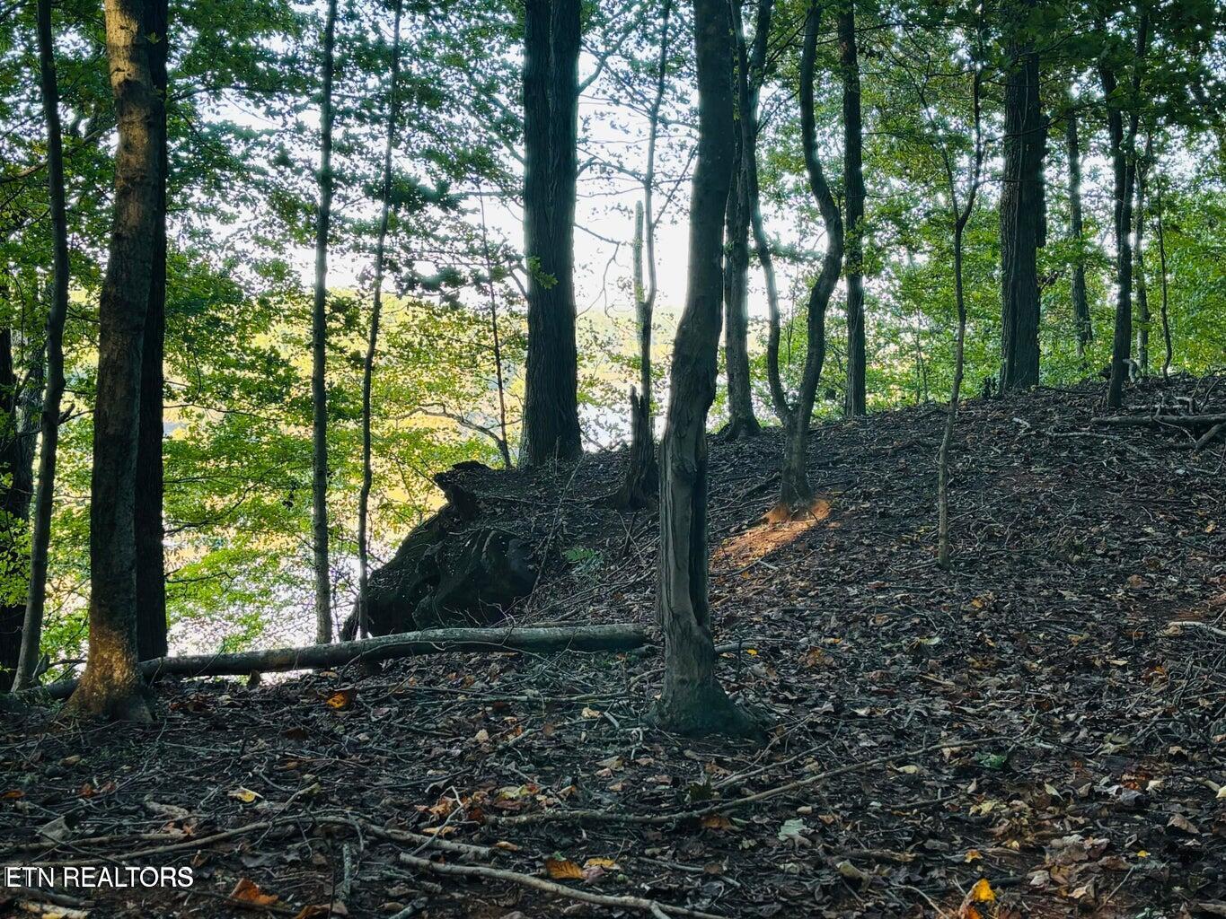 2050 Jones Bend Rd, Louisville, TN - Fort Loudoun and Tellico Lake Real Estate - Image# 37