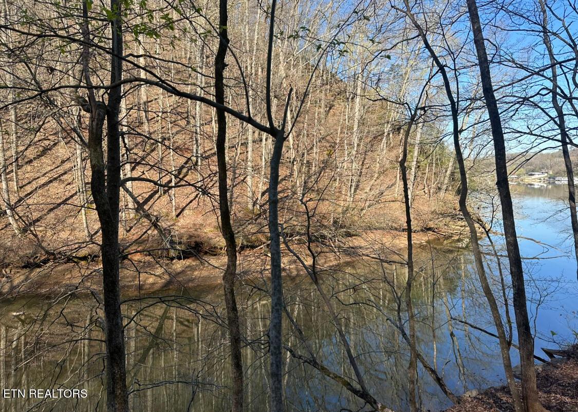 2050 Jones Bend Rd, Louisville, TN - Fort Loudoun and Tellico Lake Real Estate - Image# 15
