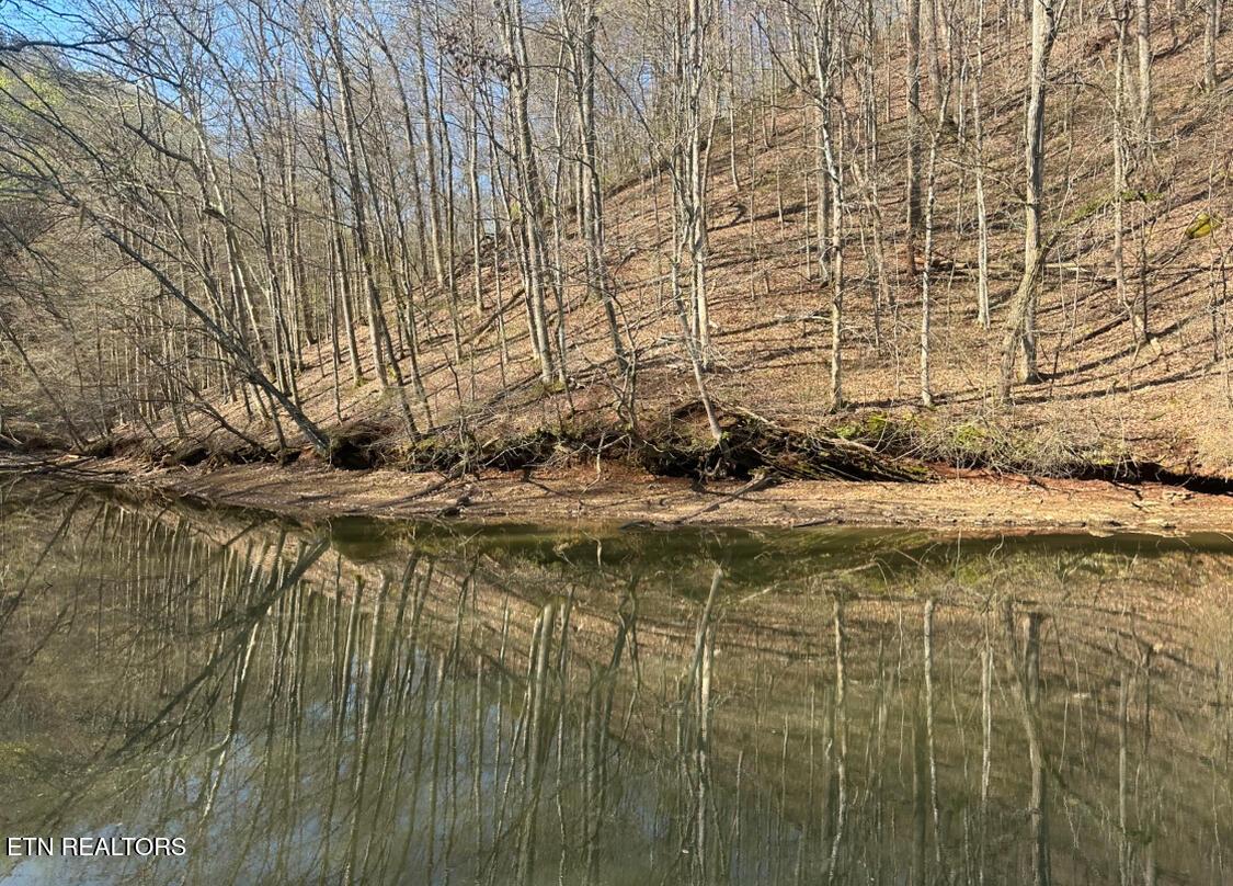 2050 Jones Bend Rd, Louisville, TN - Fort Loudoun and Tellico Lake Real Estate - Image# 11