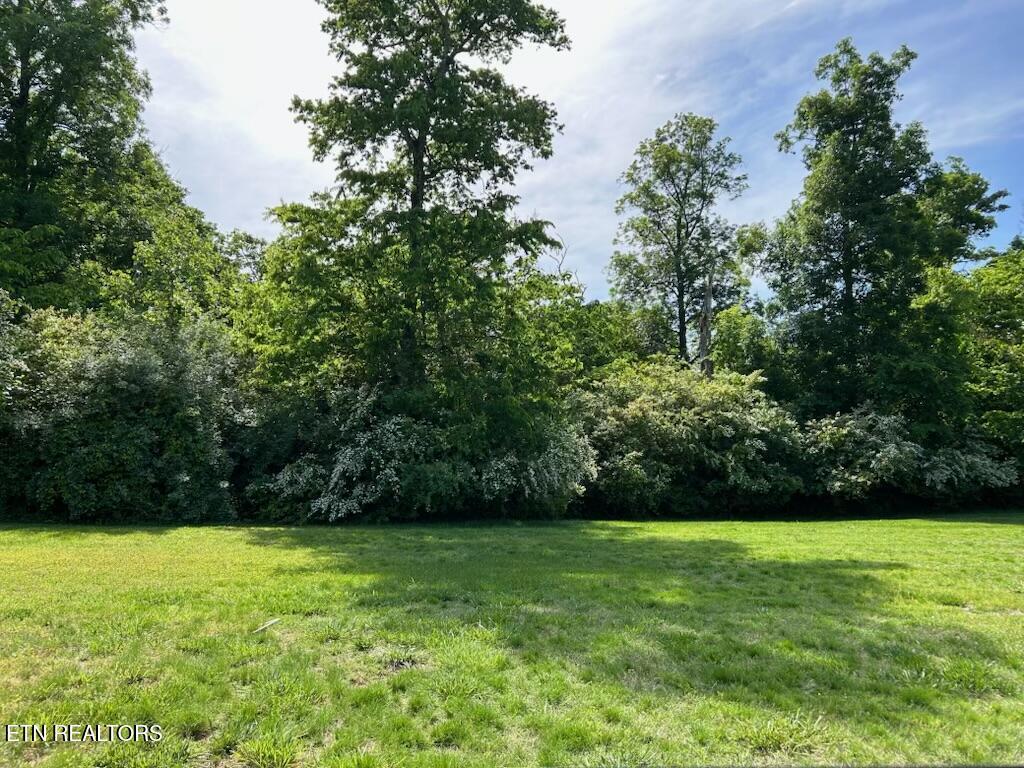 3630 Lashbrooke Way, Louisville, TN - Fort Loudoun and Tellico Lake Real Estate - Image# 6
