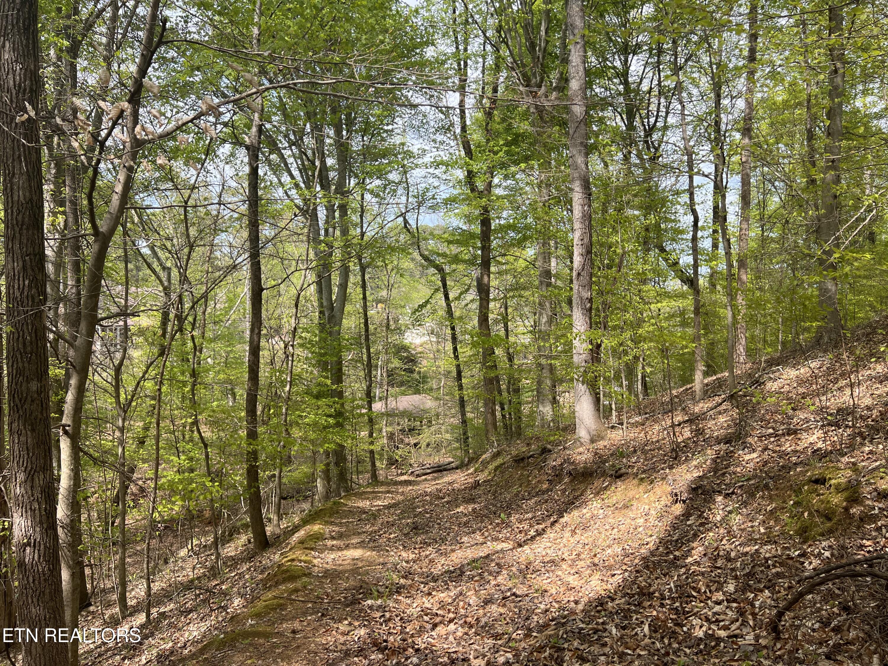 Fort Loudoun and Tellico Lake Real Estate - Image# 18