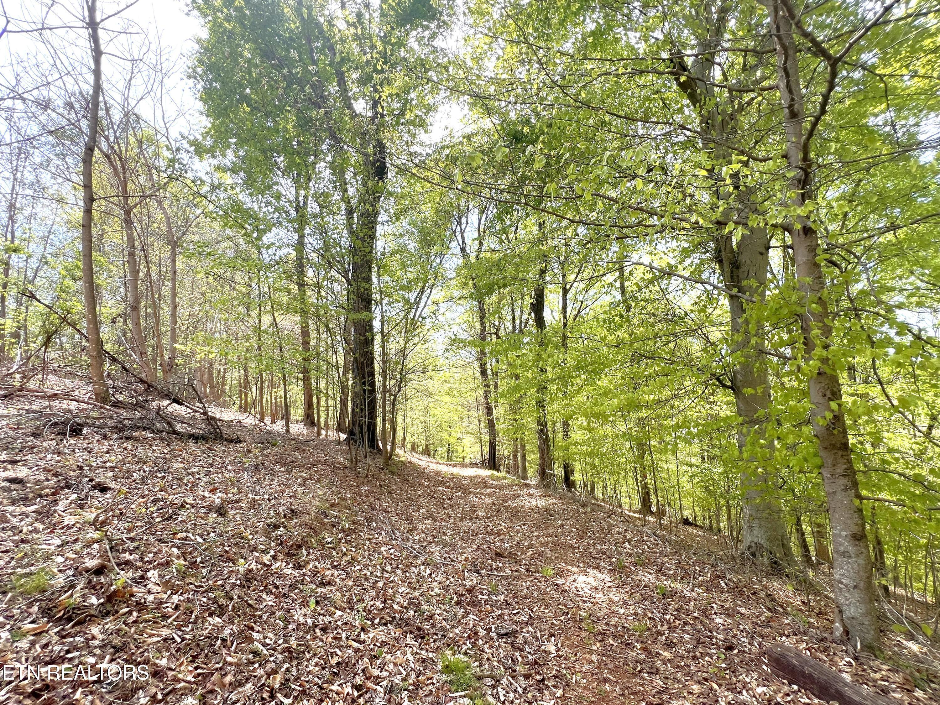 Fort Loudoun and Tellico Lake Real Estate - Image# 19