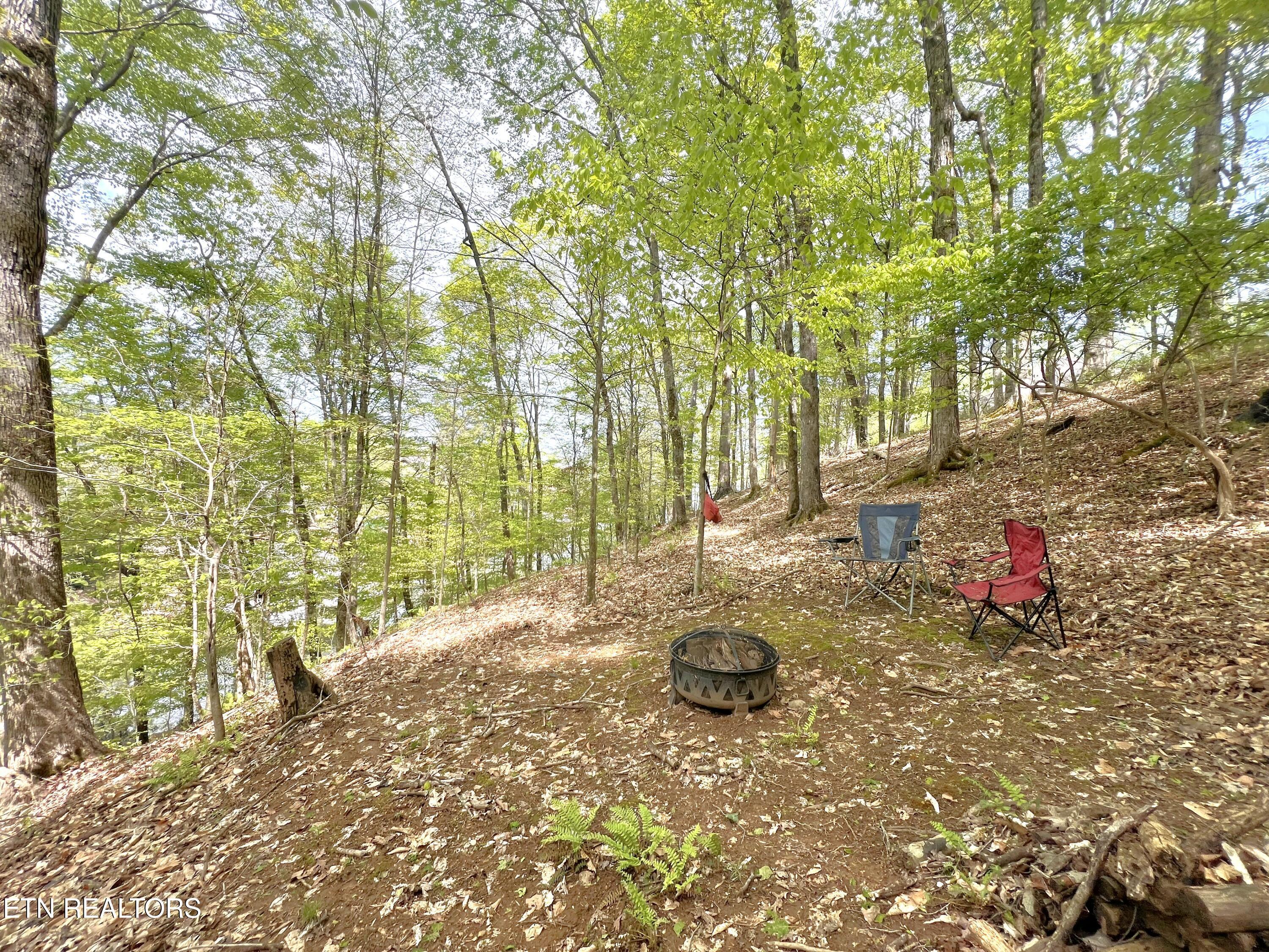 Fort Loudoun and Tellico Lake Real Estate - Image# 20