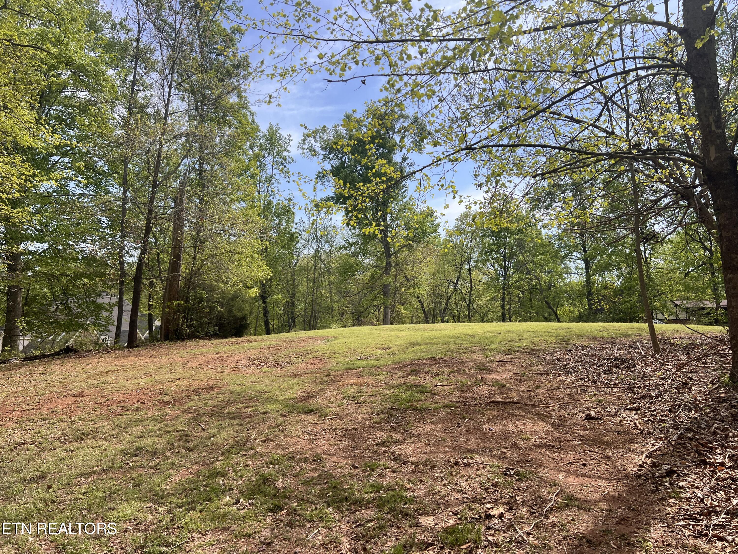 Fort Loudoun and Tellico Lake Real Estate - Image# 3