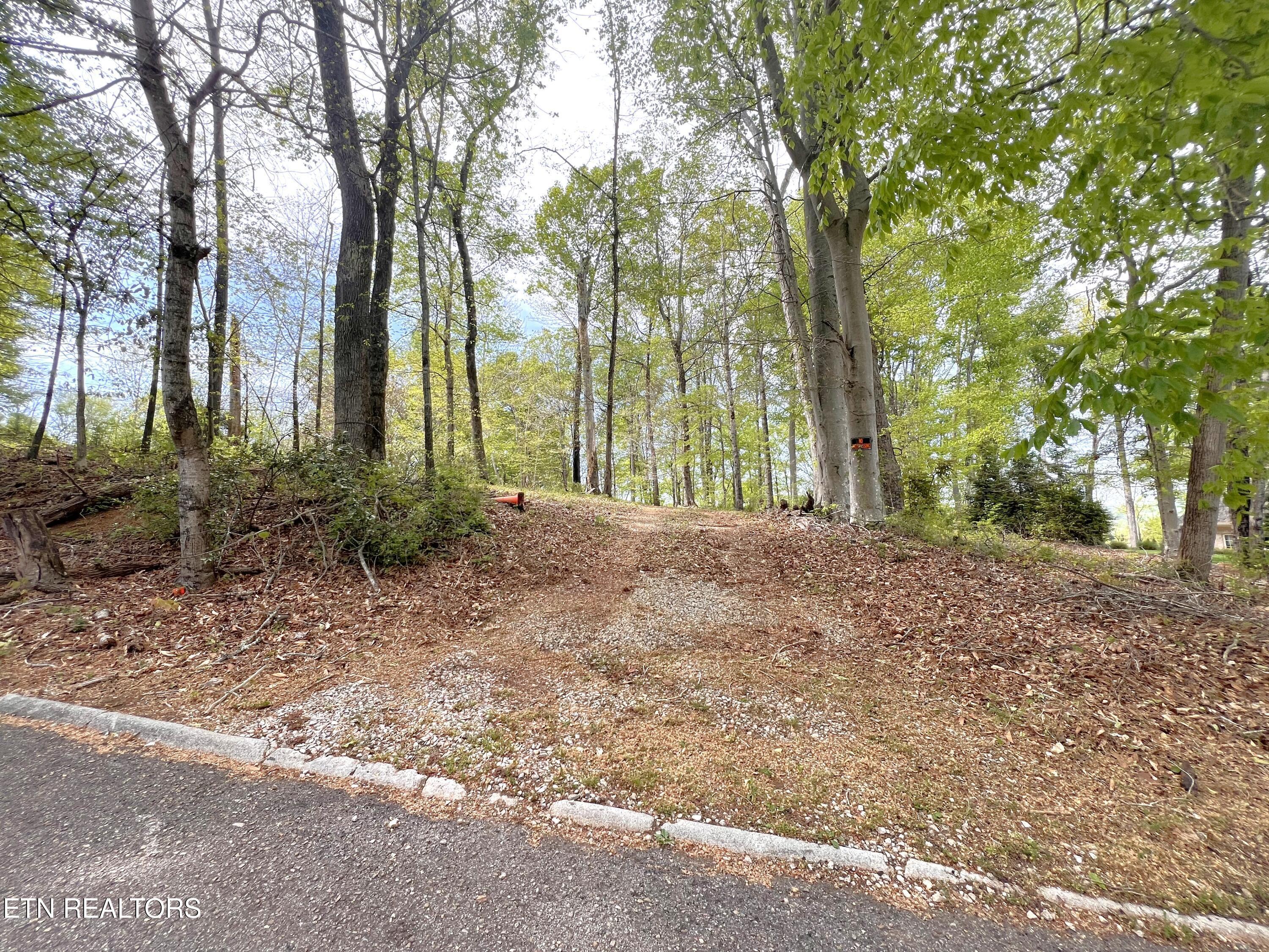 Fort Loudoun and Tellico Lake Real Estate - Image# 21
