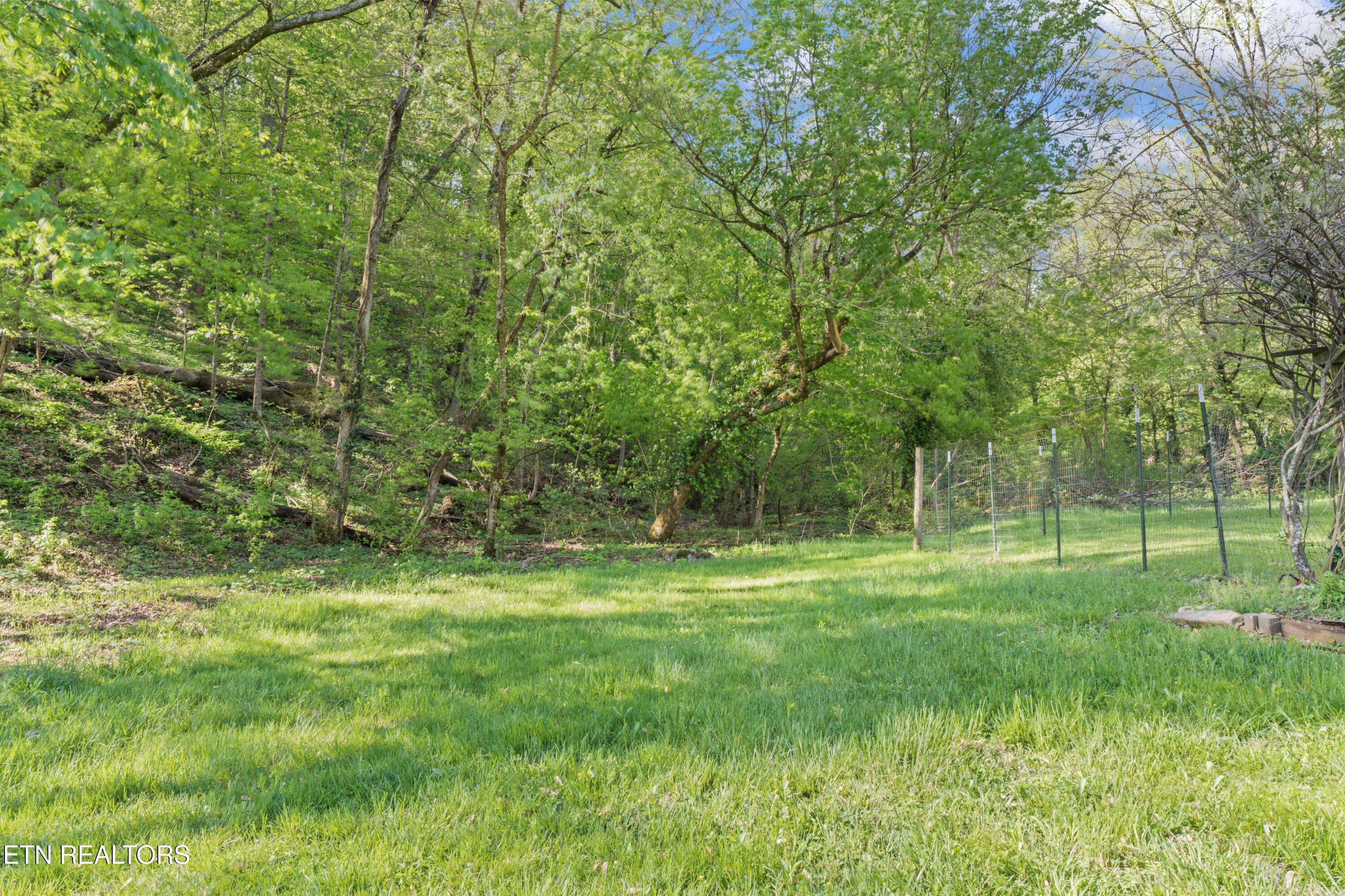Engel Rd, Loudon, TN - Fort Loudoun and Tellico Lake Real Estate - Image# 16